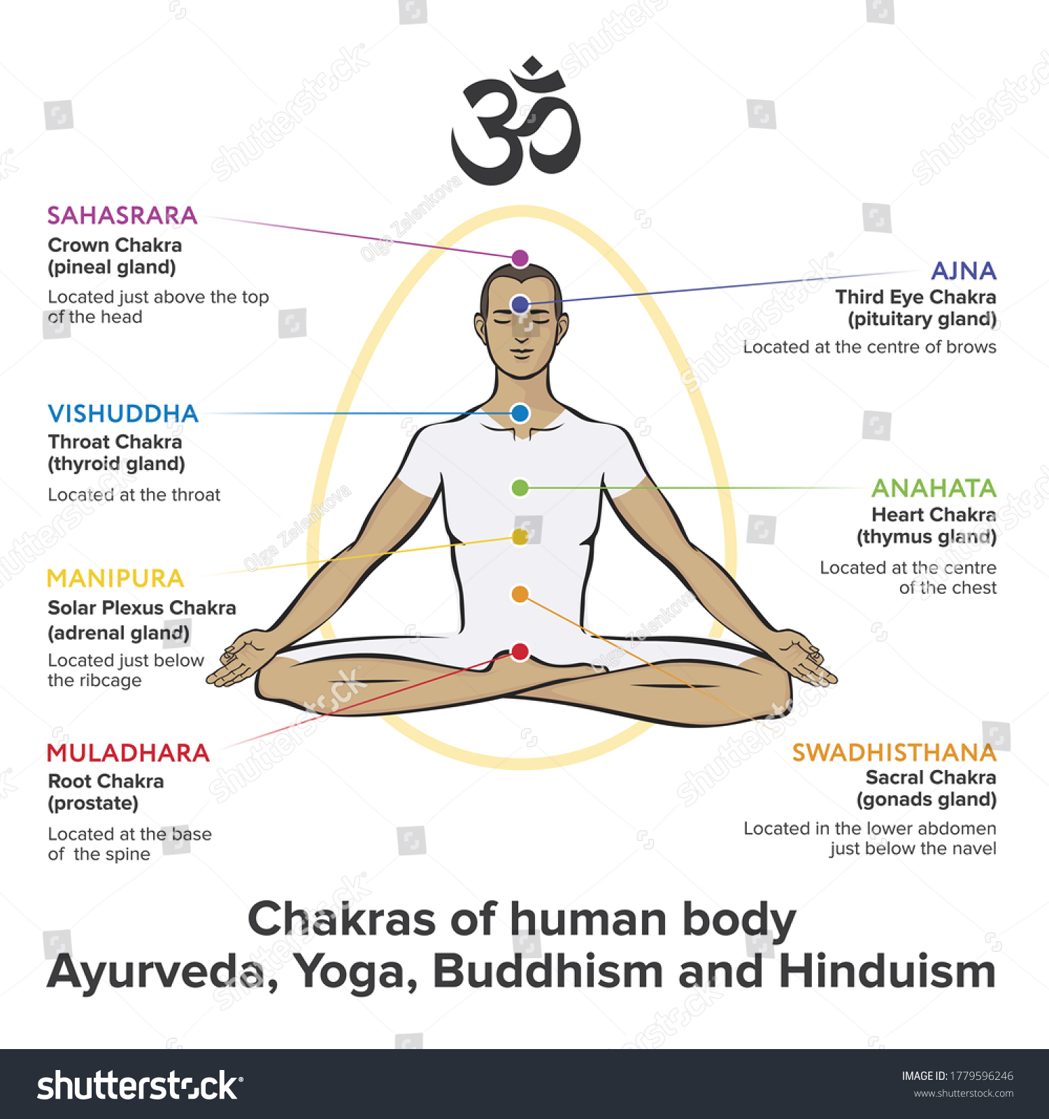 Chakras System Human Body Used Hinduism Stock Vector (Royalty Free ...