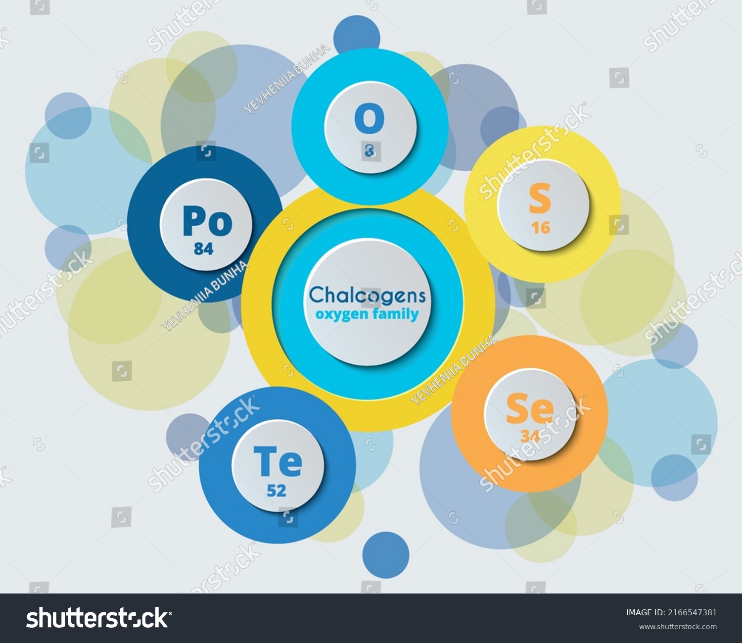 Chalcogens Oxygen Family Periodic System Elements Stock Vector (Royalty ...