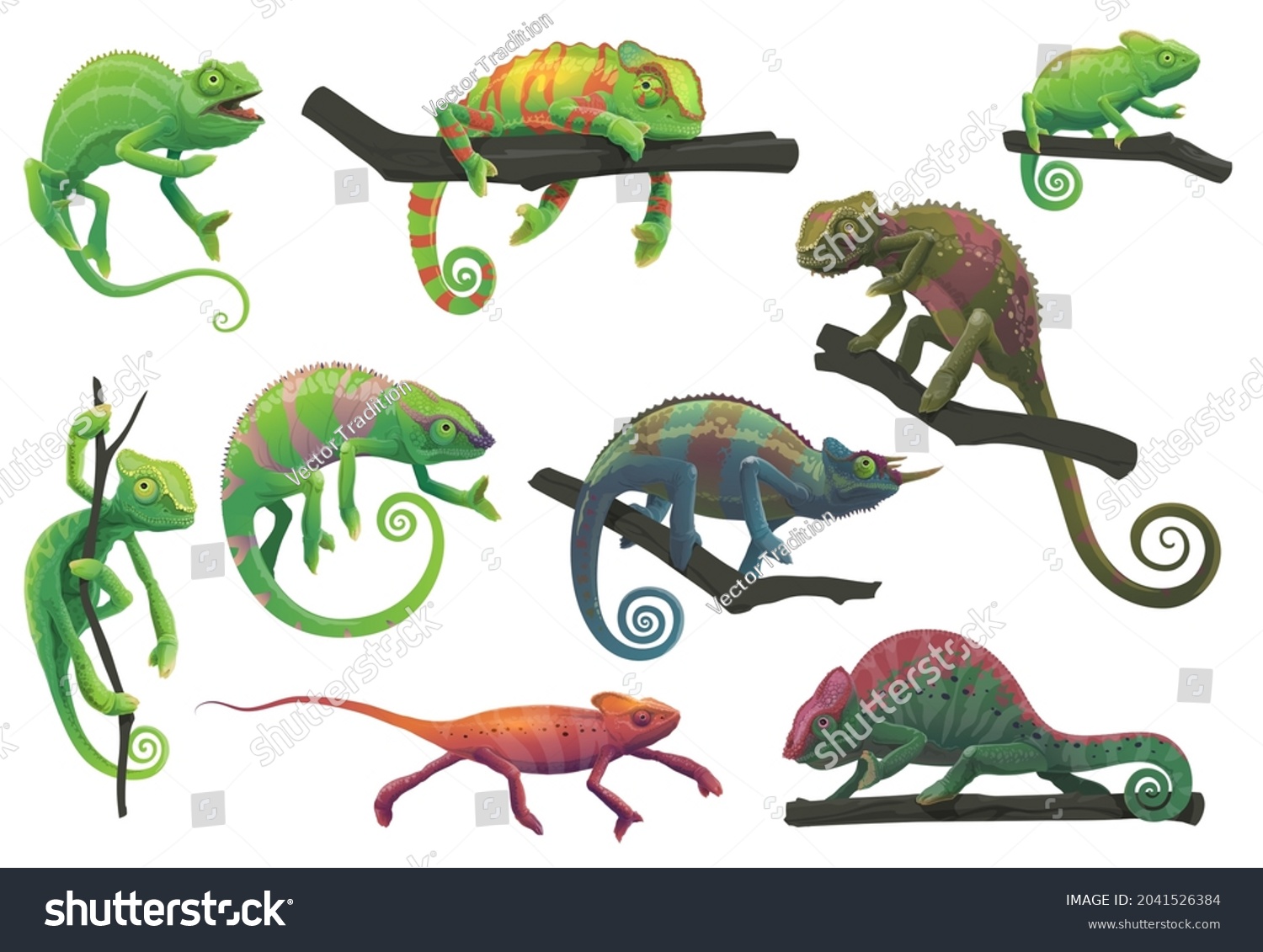 SVG of Chameleon lizards with tree branches vector set with cartoon reptile animals of panther, jackson, veiled, green and red chameleon in different poses. Lizards with camouflage skin, tropical wildlife svg