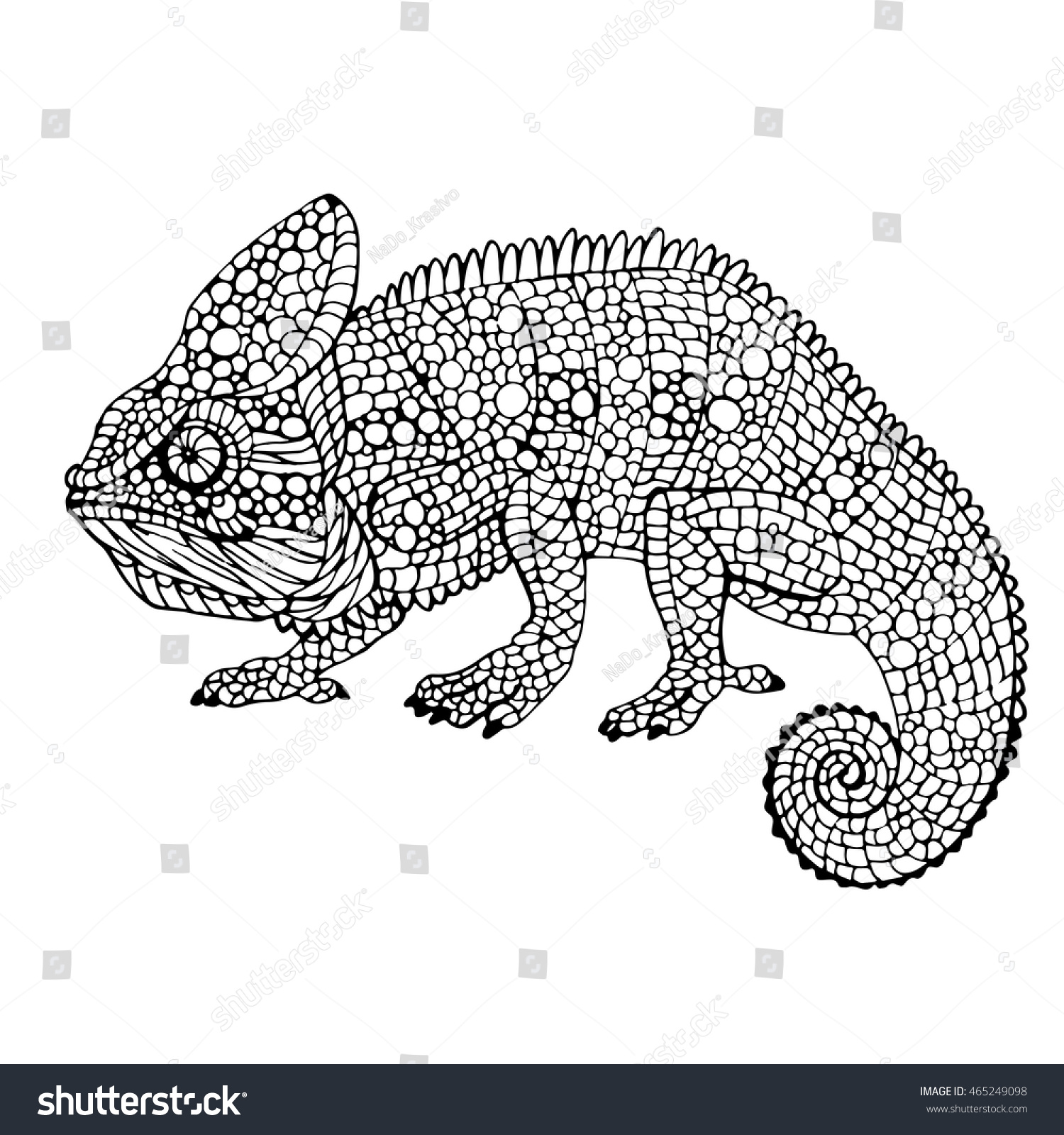 Chameleon Monochrome Coloring Page Doodle Sketch Stock Vector