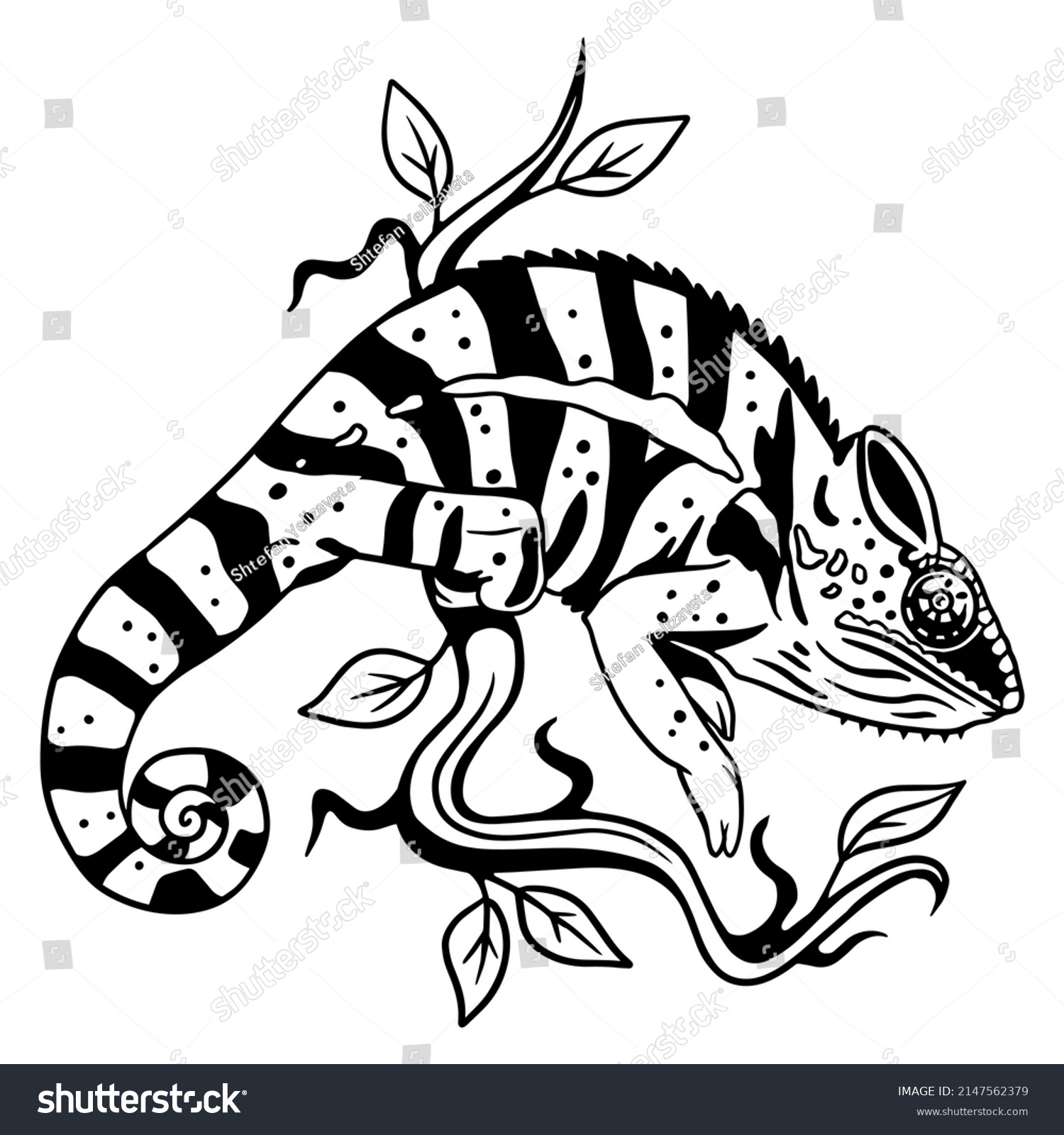 SVG of Chameleon sitting on a branch. Vector illustration for cutting vinyl and printing svg