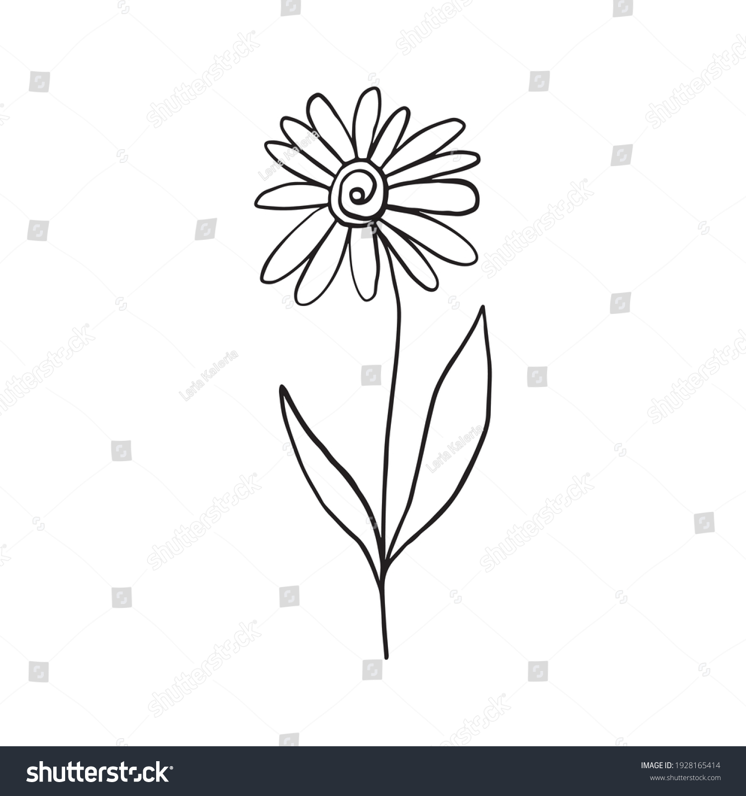 Chamomile Doodle Style Line Art Flower Stock Vector (Royalty Free ...