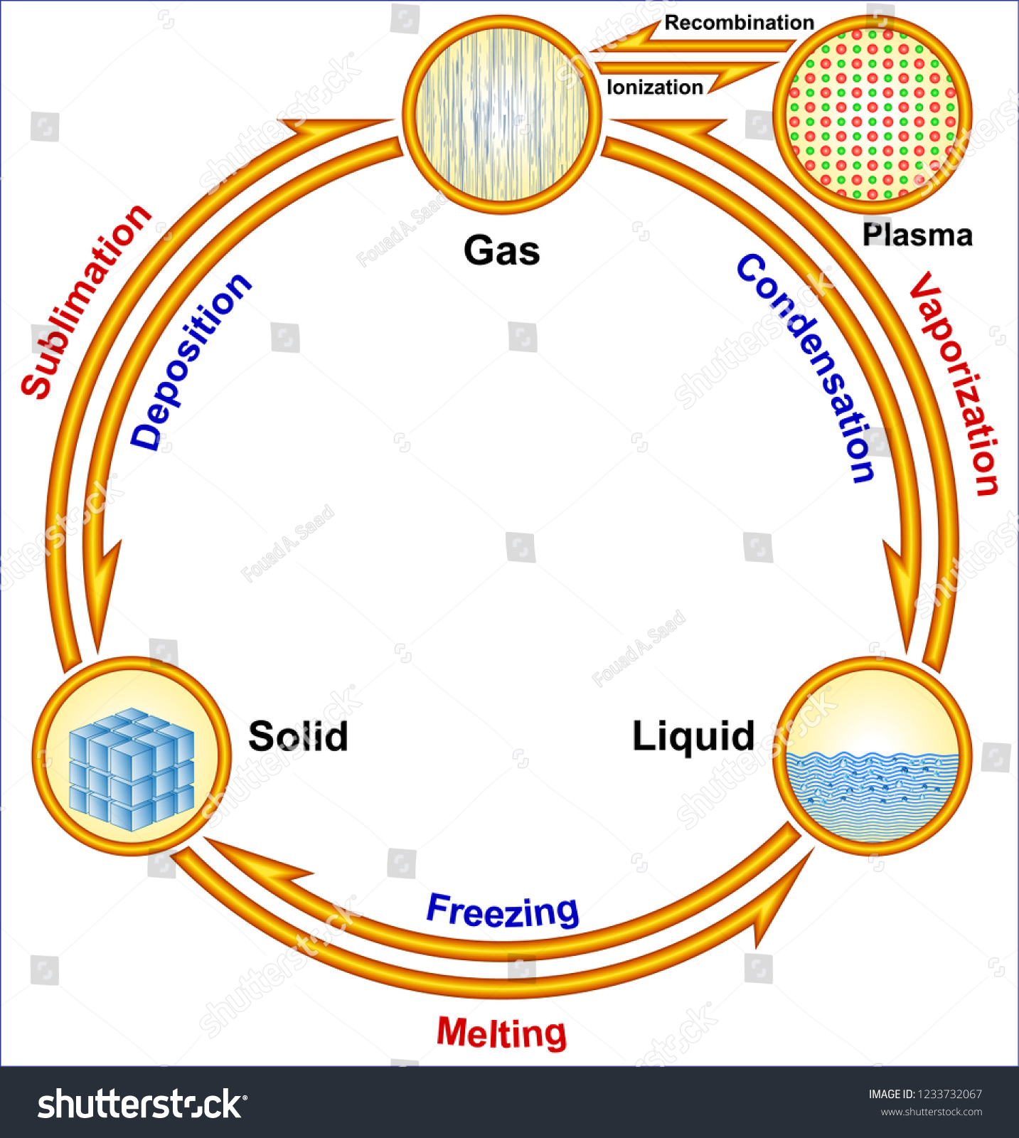 Changes Phases Matter Stock Vector (Royalty Free) 1233732067 | Shutterstock