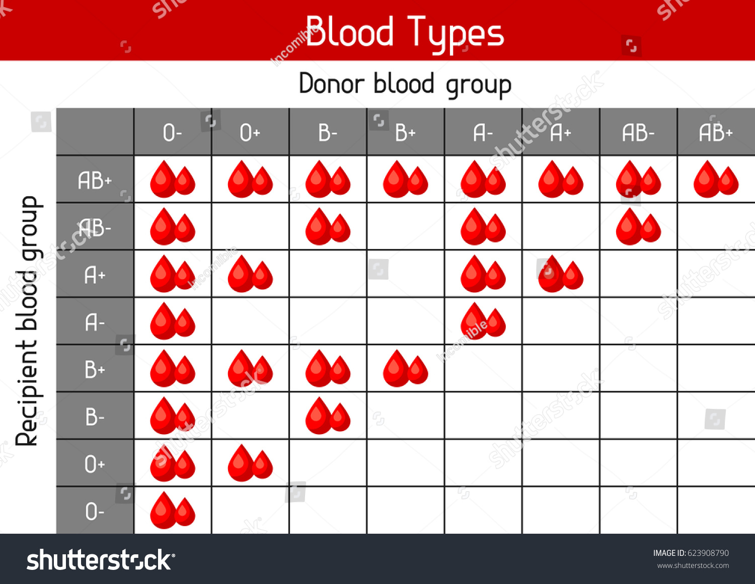 blood group chart