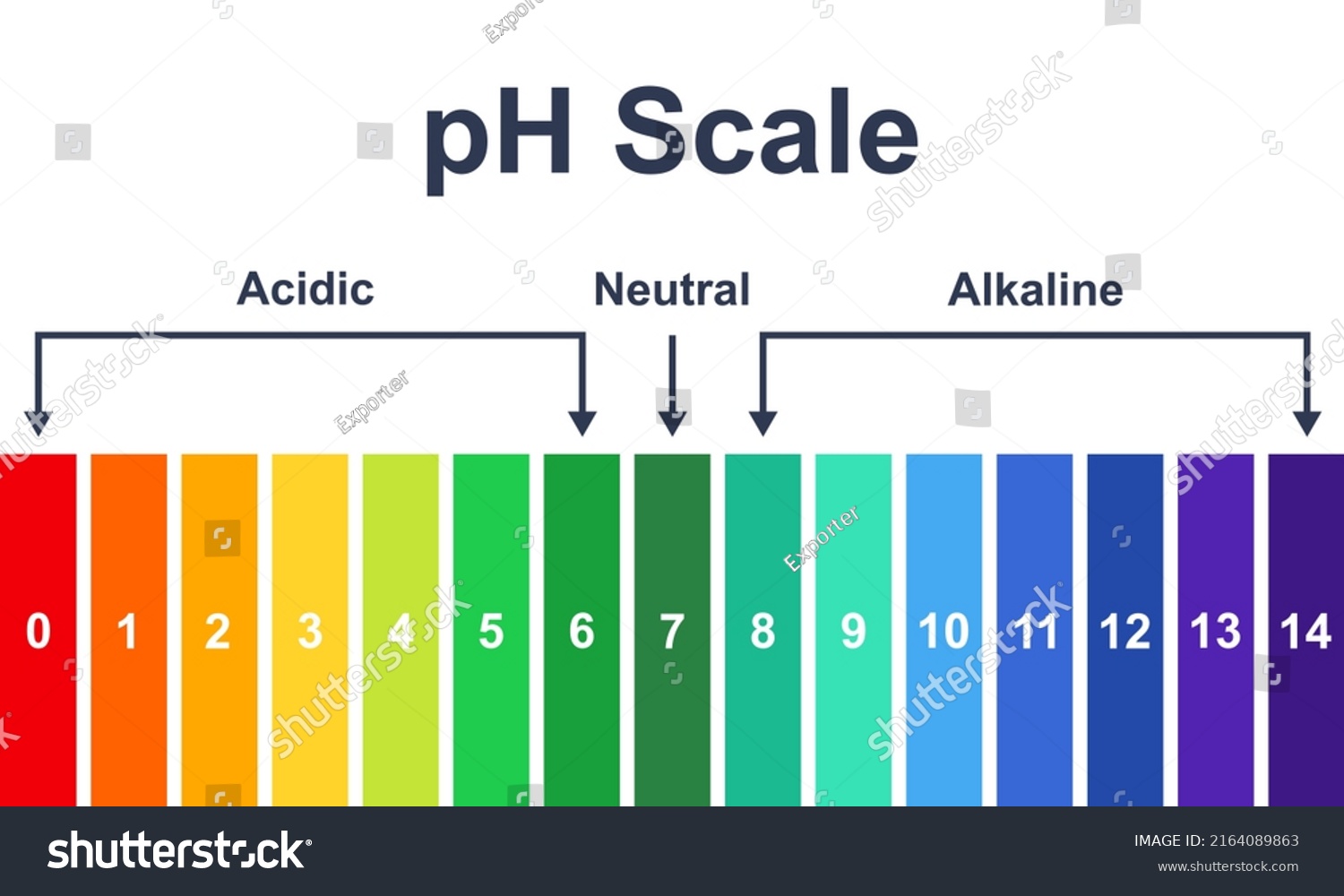 Chart Ph Acidic Neutral Alkaline Scale Stock Vector (Royalty Free ...