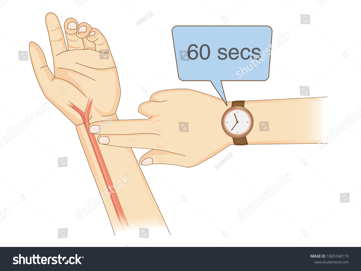 Checking Your Heart Rate Manually Place Stock Vector Royalty Free checking-a-pulse-rate-instructions-caregiverology-in-2024-medical