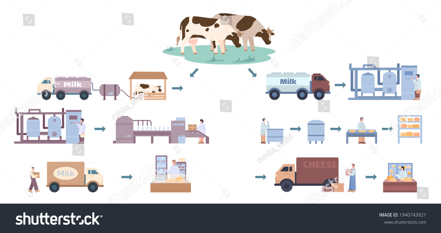 344 Cheese process in plant Stock Vectors, Images & Vector Art ...