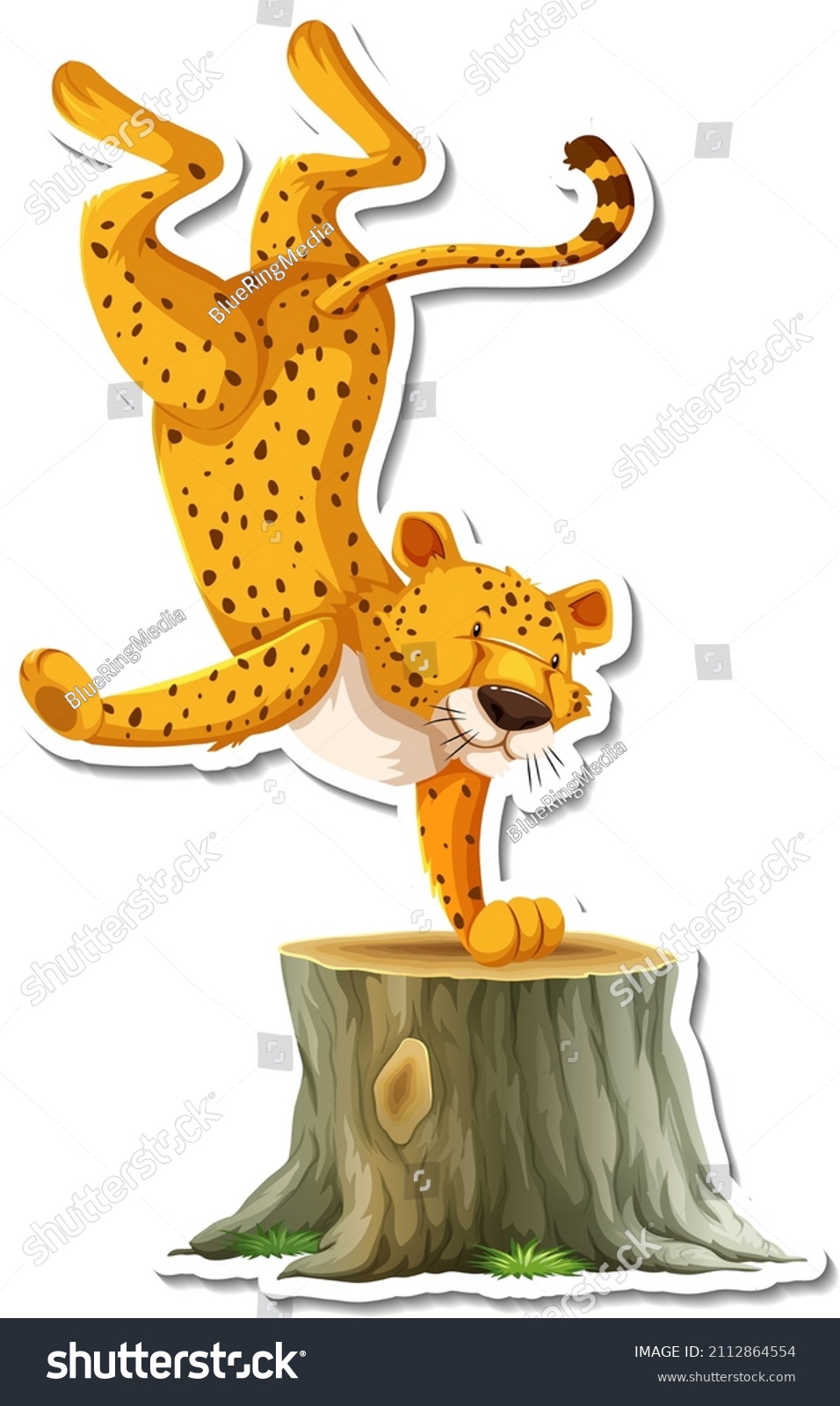 Cheetah Dancing Cartoon Character On White Stock Vector Royalty Free