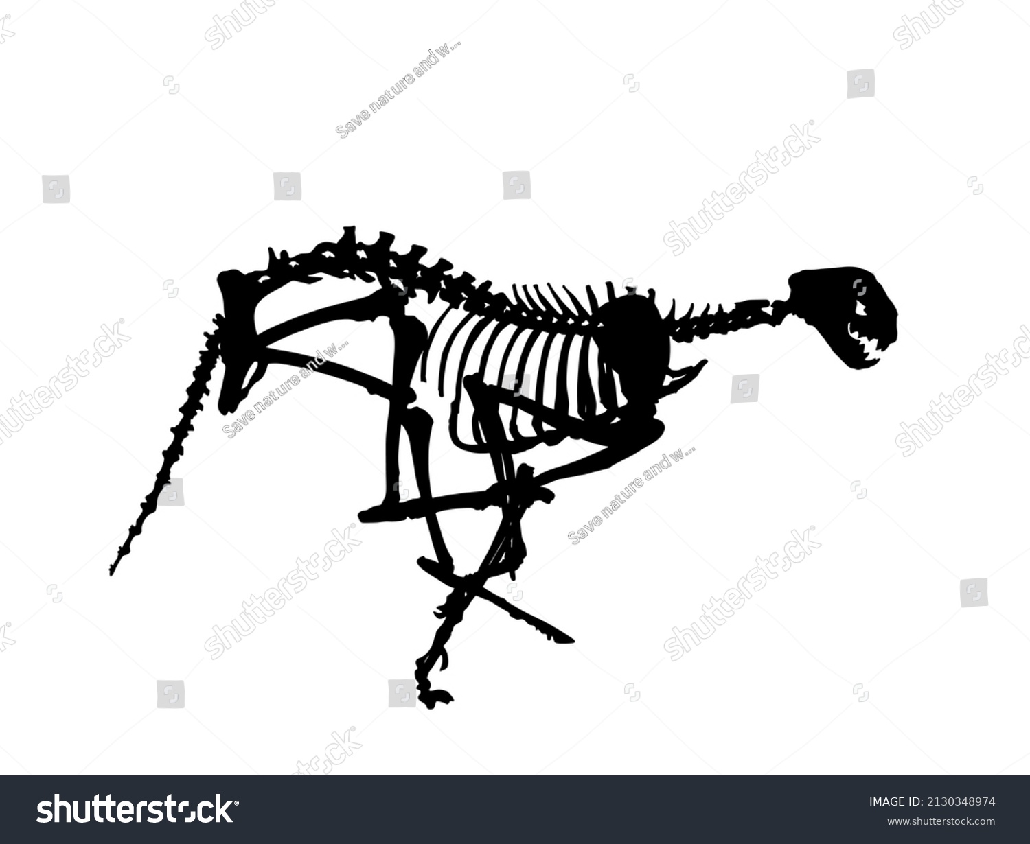 Cheetah Skeleton Vector Silhouette Illustration Isolated Stock Vector ...