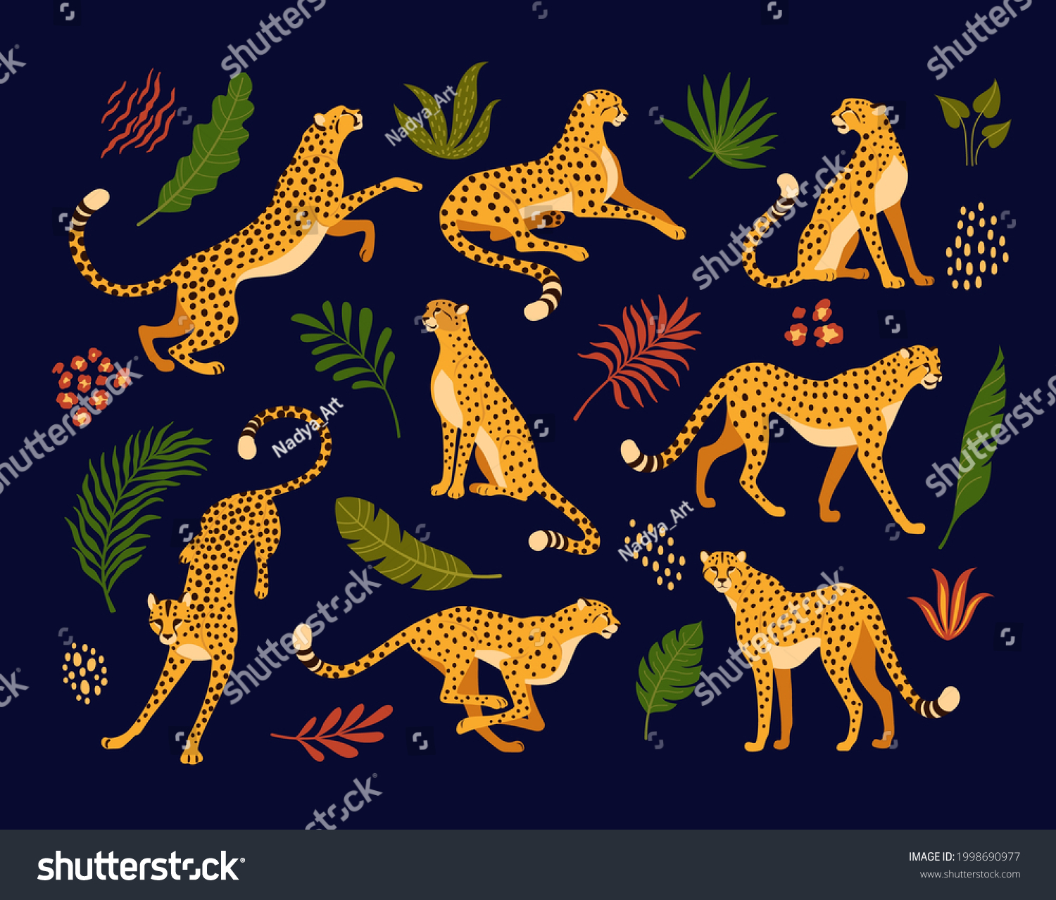 Cheetahs Collection Vector Illustration Cartoon Cheetahs Stock Vector ...