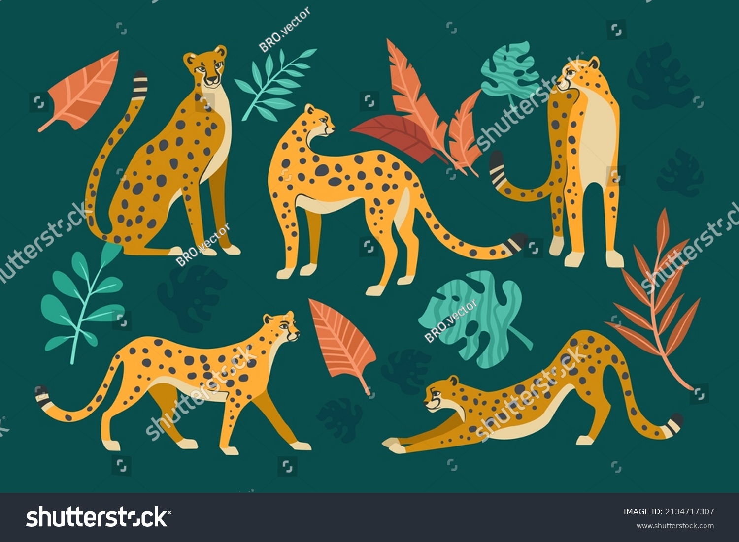 Cheetahs Different Poses Cartoon Illustration Set Stock Vector (Royalty ...