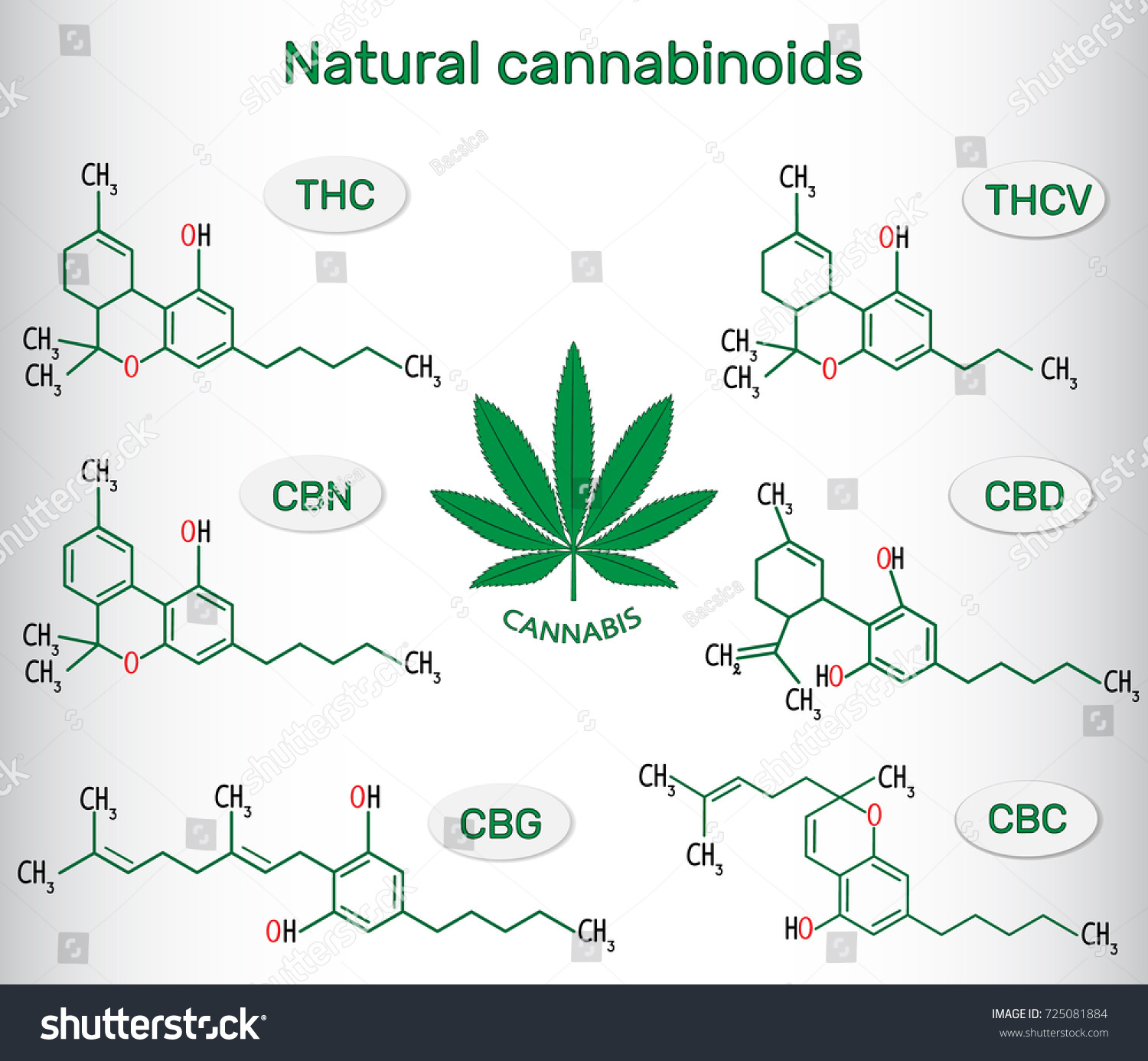 Chemical Formulas Natural Cannabinoids Tetrahydrocannabinol Thc Stock ...