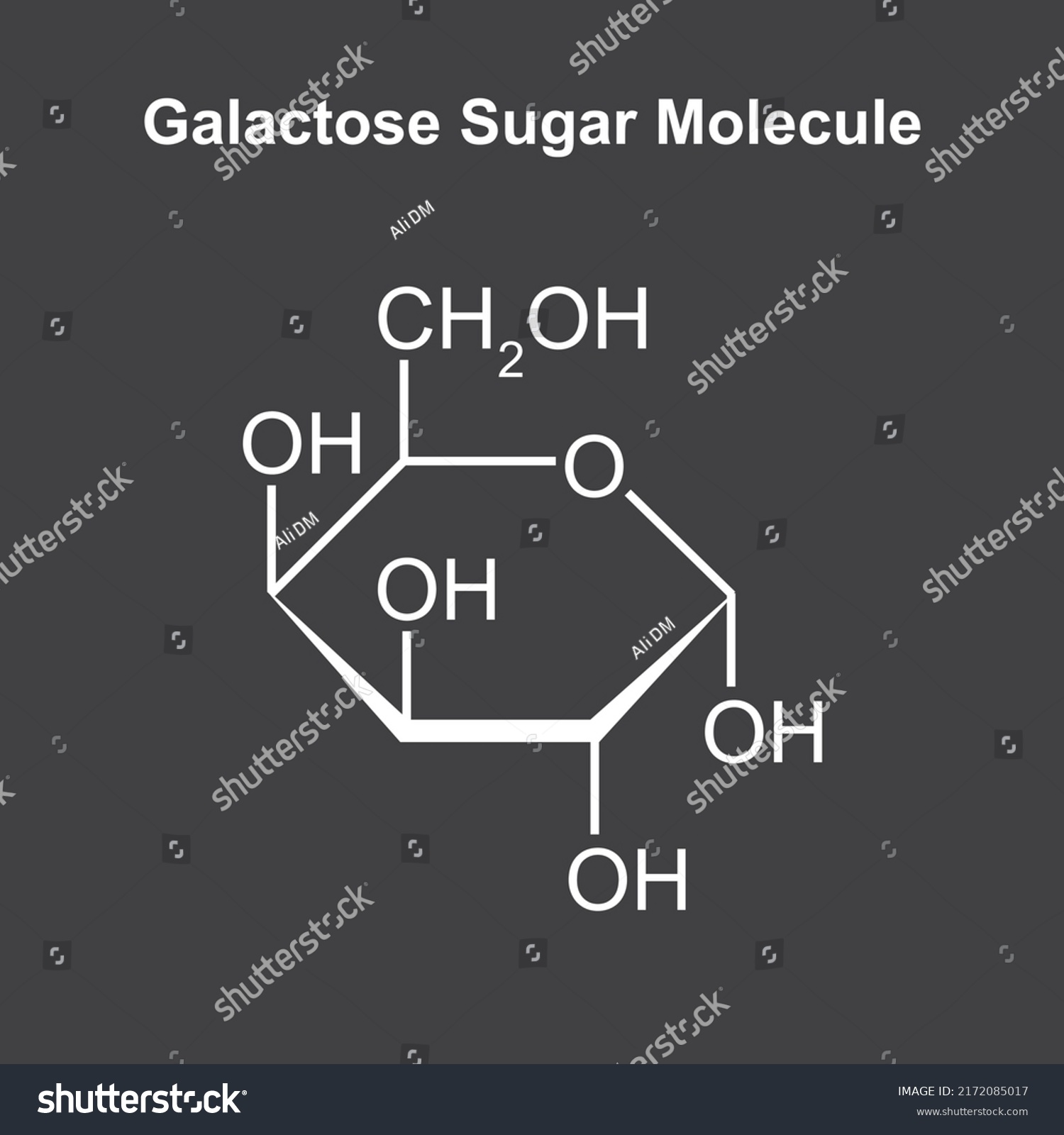 Chemical Illustration Galactose Sugar Molecule Vector Stock Vector Royalty Free 2172085017 0915