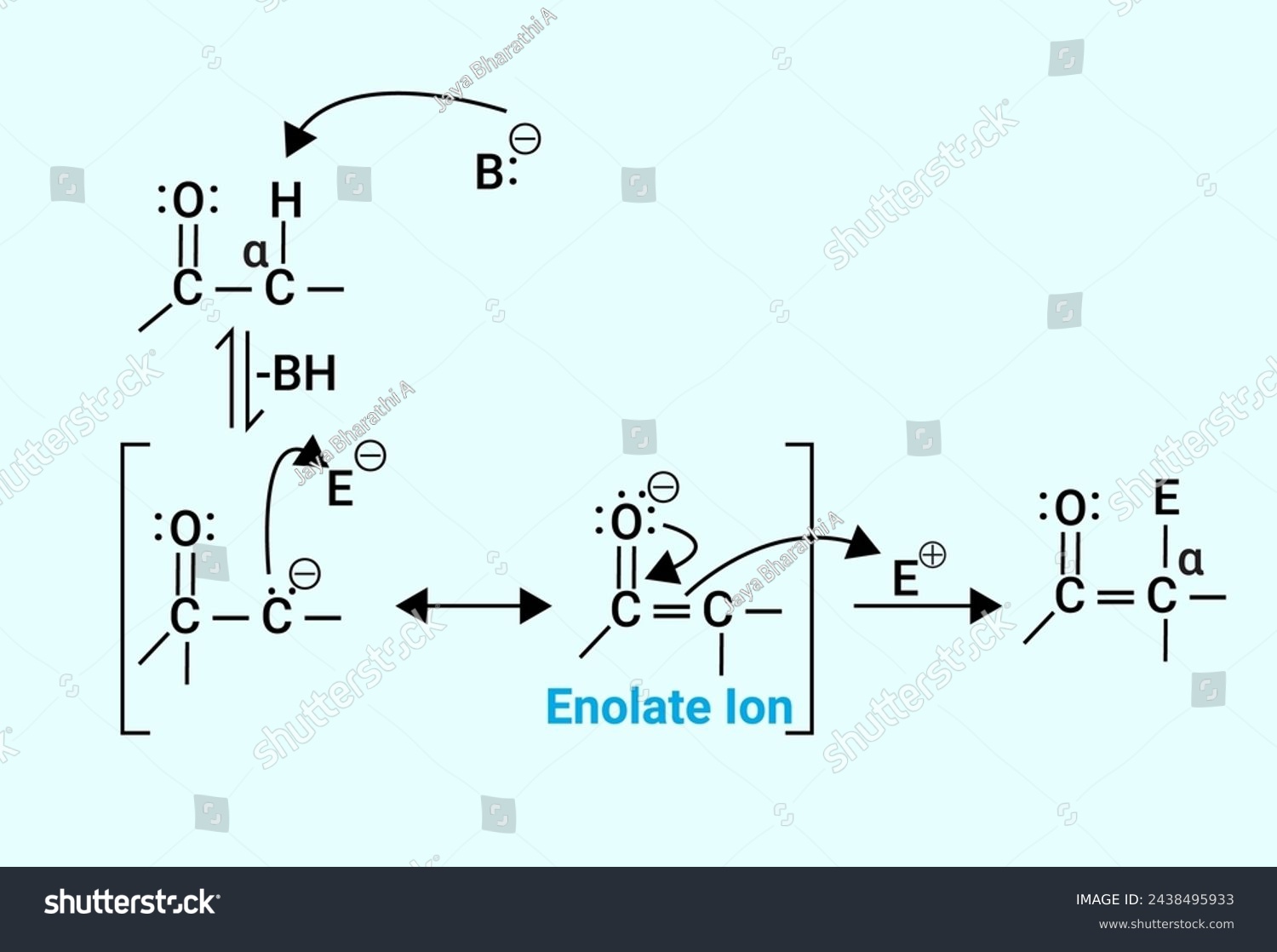 SVG of Chemical reaction of Enolate Ion svg
