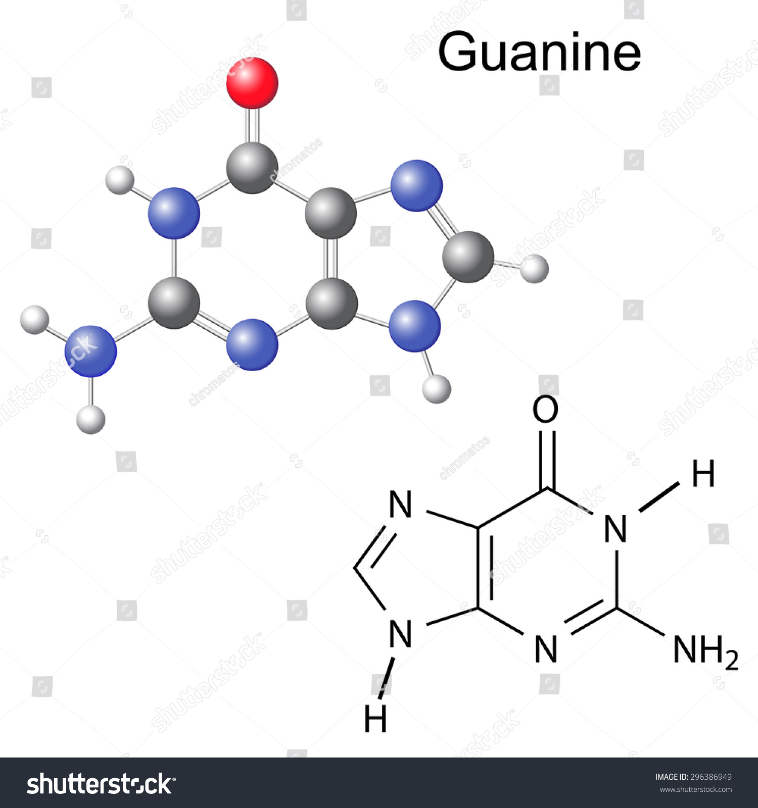 Chemical Structural Formula Model Guanine Dna Stock Vector Royalty Free