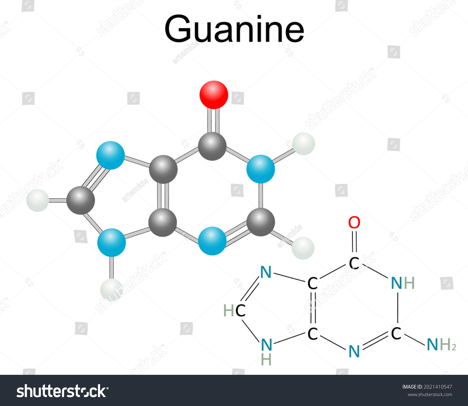 Chemical Structural Formula Model Guanine Pyrimidines Stock Vector Royalty Free 2021410547 1920