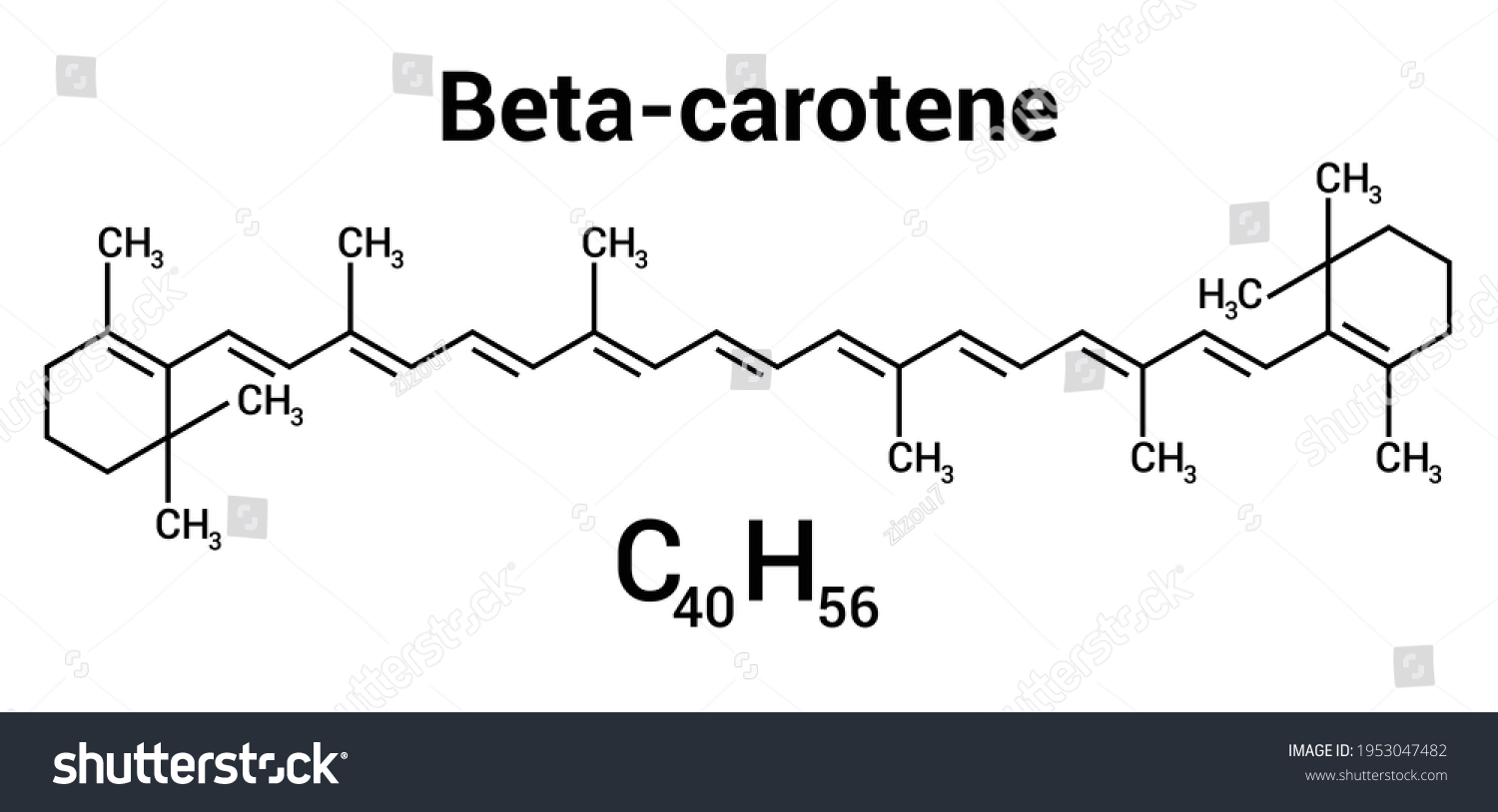 Chemical Structure Betacarotene C40h56 Stock Vector Royalty Free