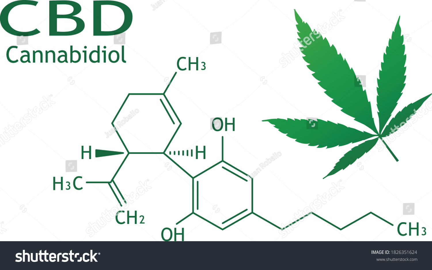 Vektor Stok Chemical Structure Cannabidiol Cannabis Leaf (Tanpa Royalti ...