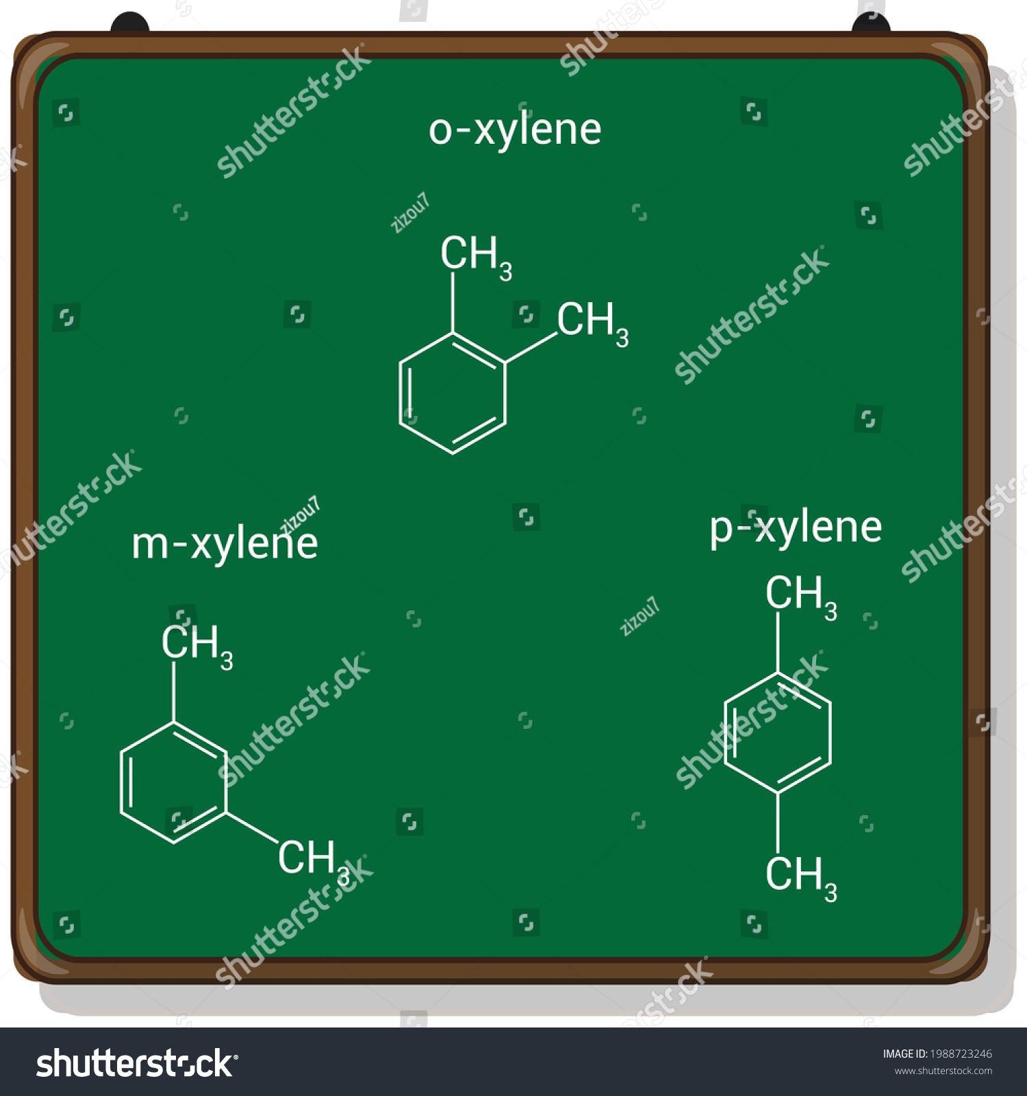 Chemical Structure Oxylene Mxylene Pxylene Stock Vector (Royalty Free ...