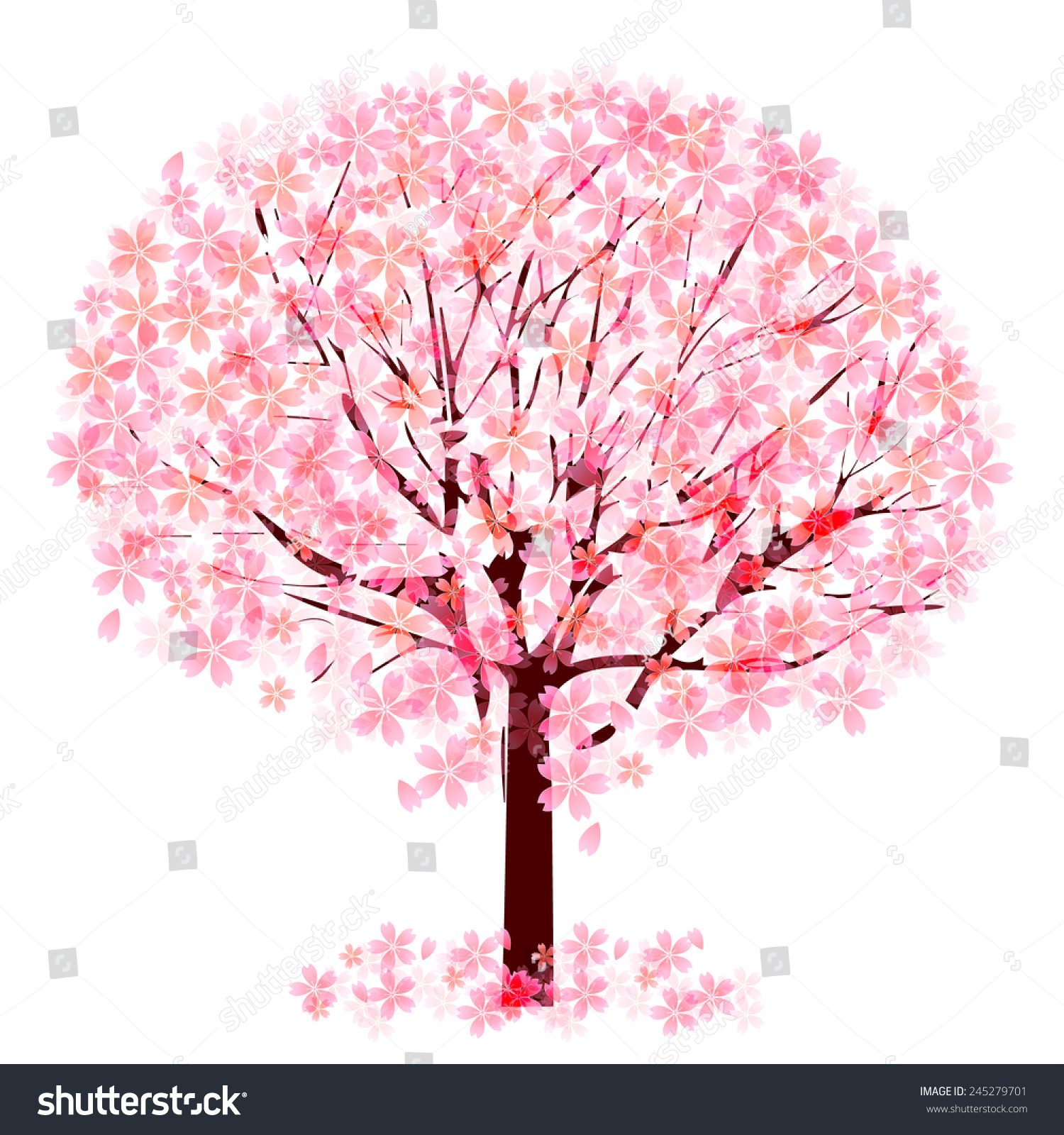 Cherry Blossom Tree Stock Vector 245279701 - Shutterstock