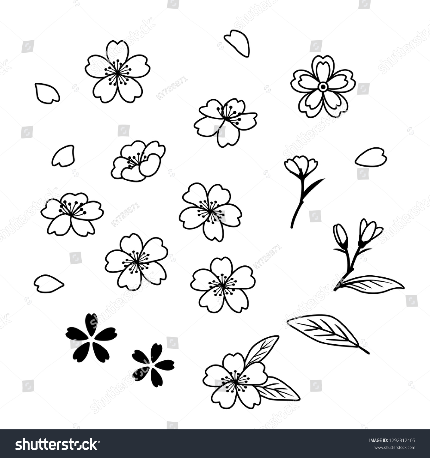 Cherry Blossoms Sketch Illustration Set Stock Vector (Royalty Free ...