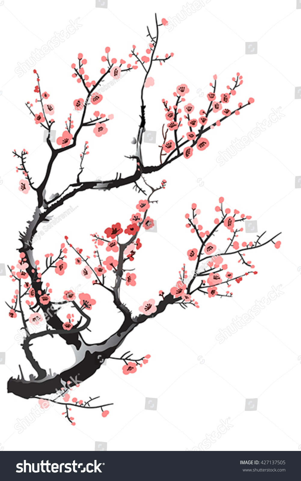 cherry tree vector cherry tree stock vector 427137505 cherry tree vector cherry tree stock vector 427137505