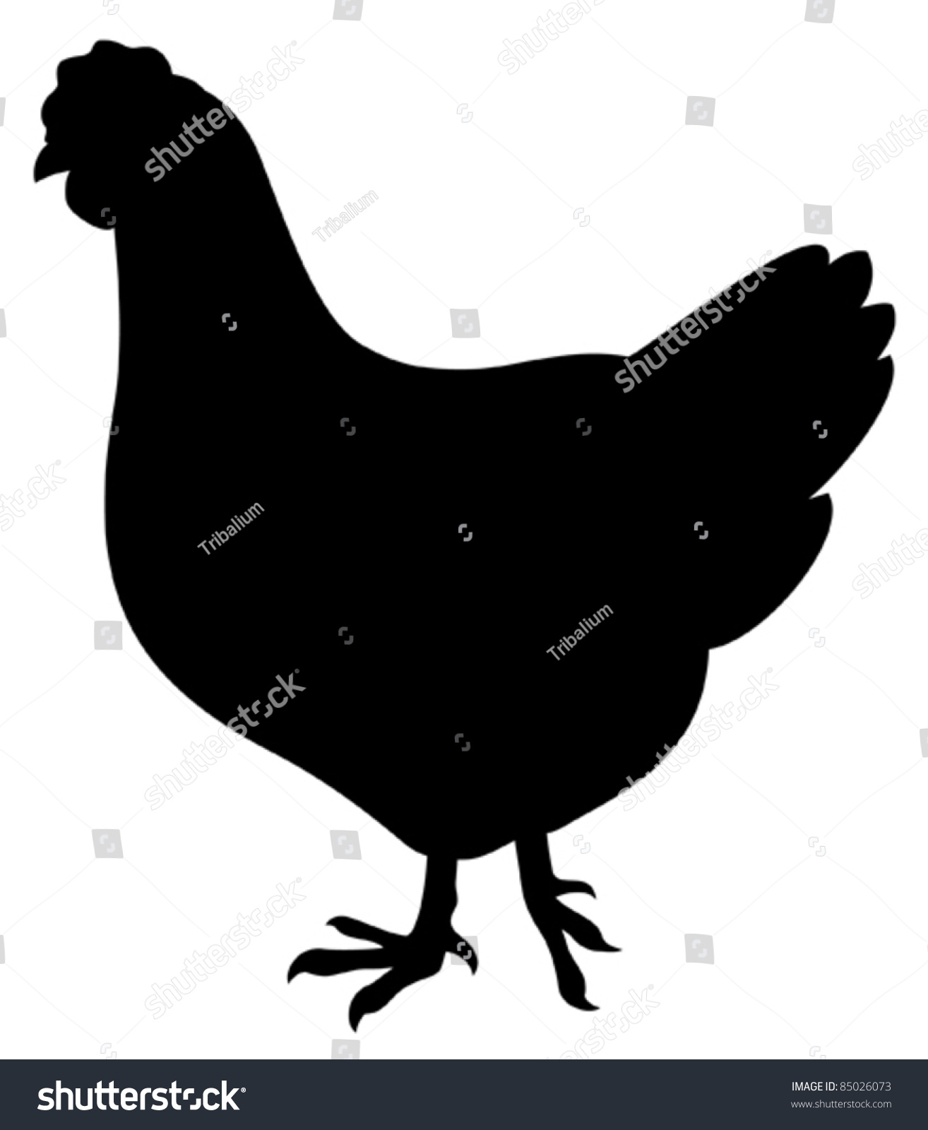 Chicken Stock Vector Royalty Free 85026073 Chicken Stock Vector Royalty Free 85026073
