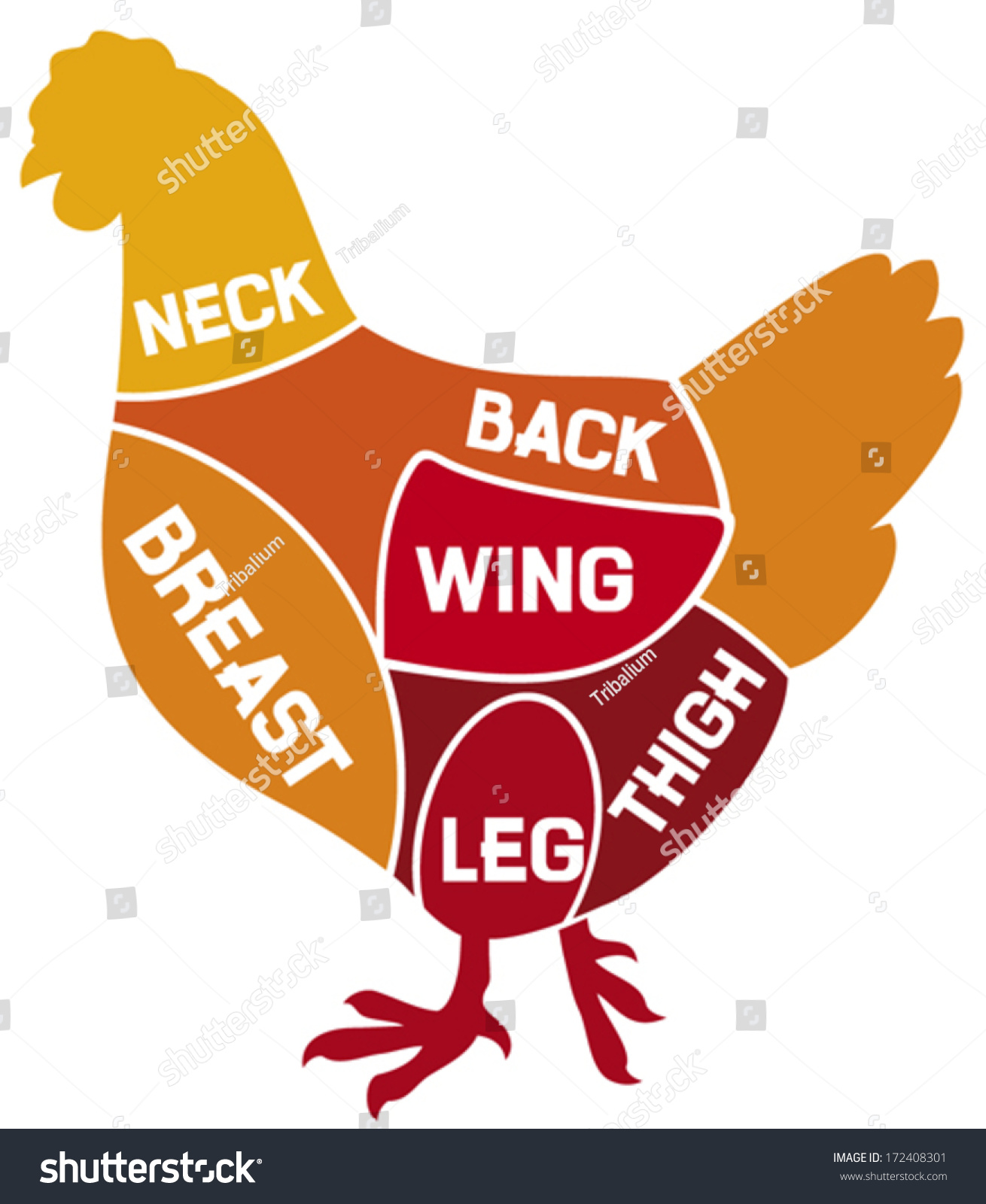 Chicken Cuts Diagram Stock Vector 172408301 - Shutterstock for Chicken Meat Cuts Chart
186ref Chicken Cuts Diagram Stock Vector 172408301 - Shutterstock for Chicken Meat Cuts Chart
186ref