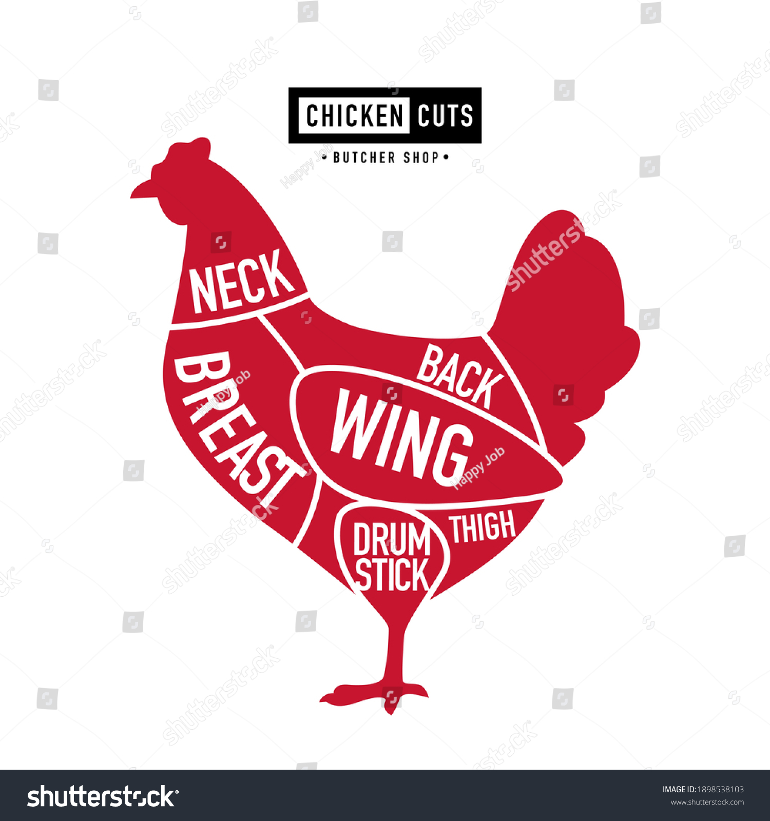 Chicken Cuts Diagrams Scheme Butcher Shop Stock Vector (Royalty Free ...