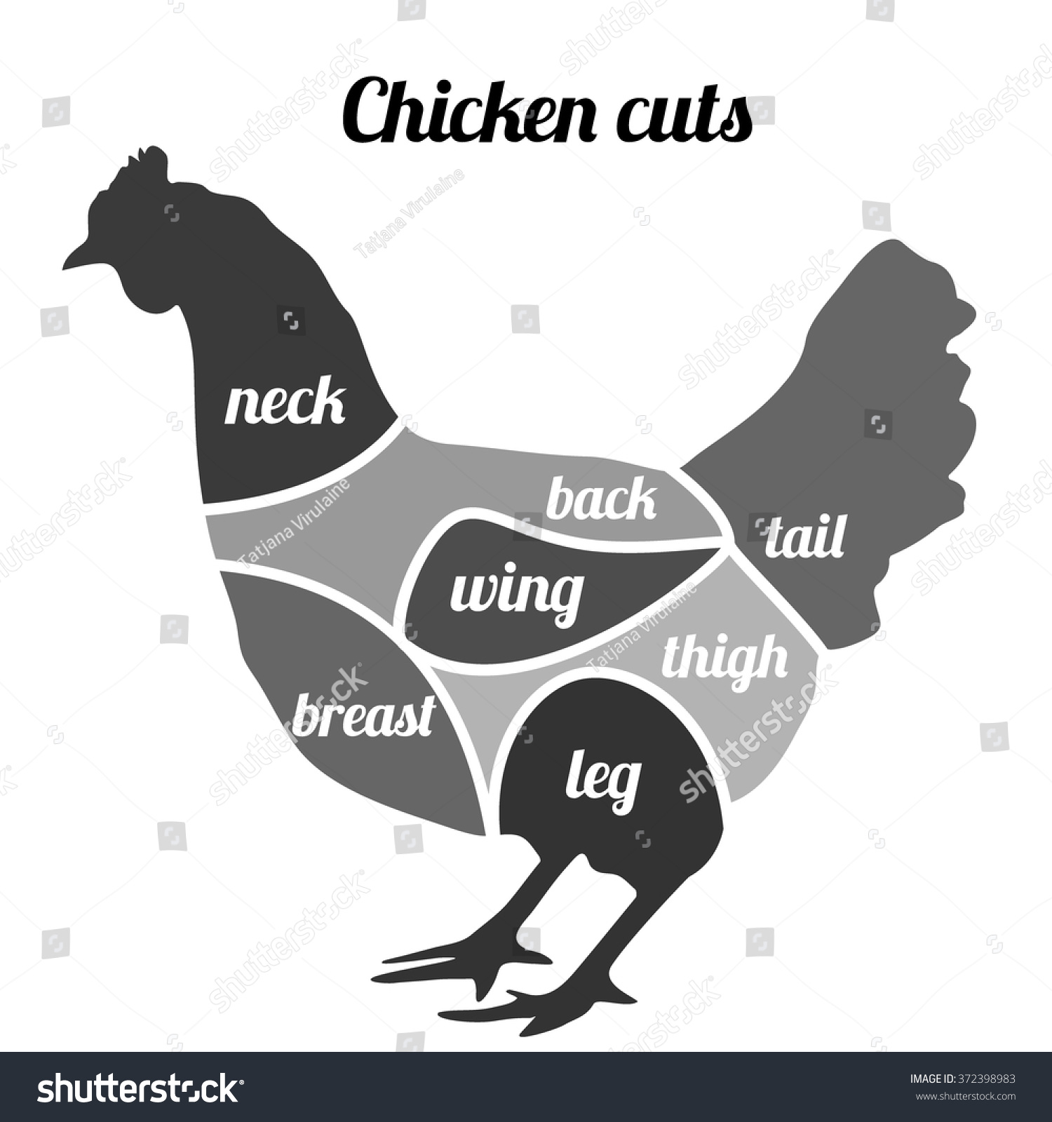 Chicken Cuts Vector Illustration Chicken Meat Stock Vector (Royalty ...