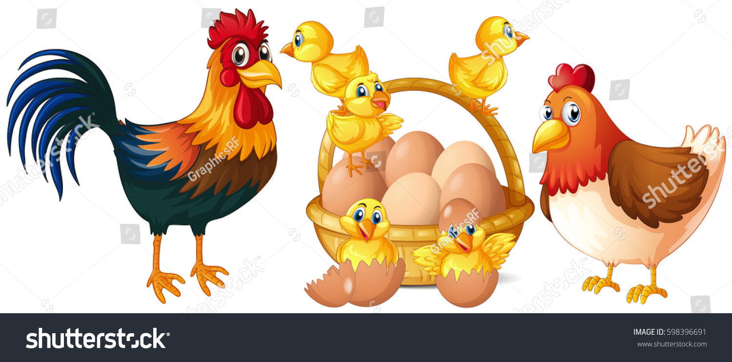 Chicken Hen Rooster Baby Chicks Basket 库存矢量图 免版税