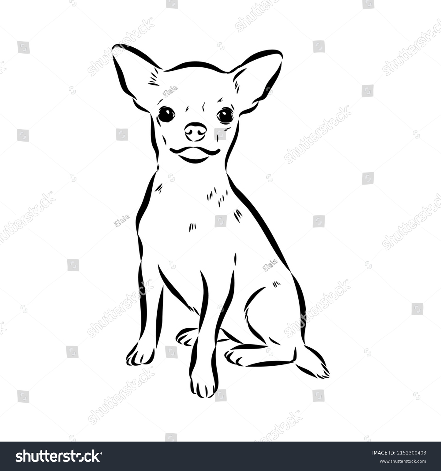 Chihuahua Dog Isolated Vector Illustration Chihuahua Stock Vector ...