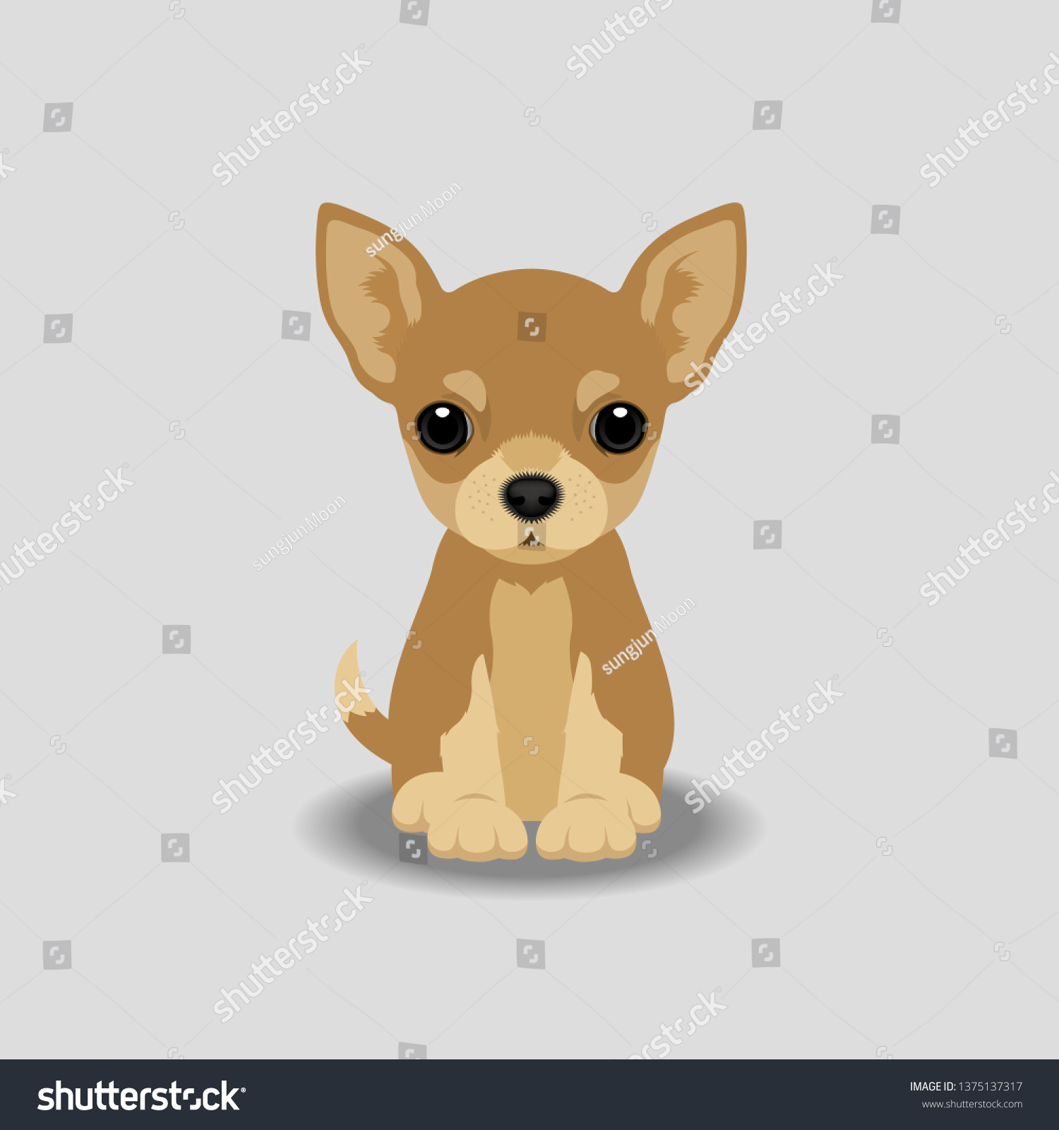 Chihuahua Puppy Vector Illustration Dog Isolated Stock Vector Royalty Free