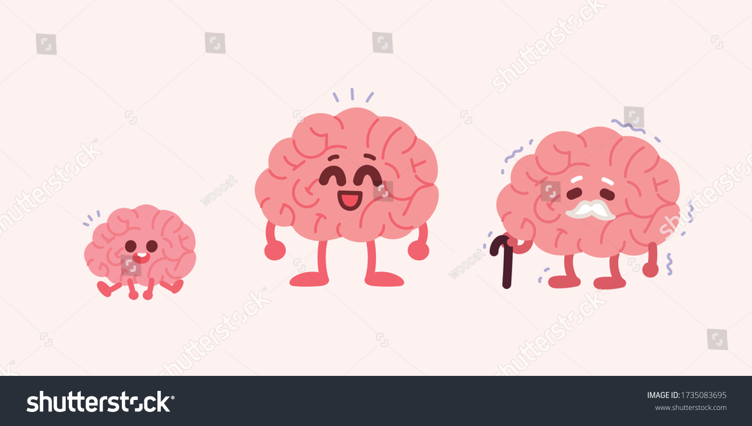 childs-brain-adult-brain-old-brain-stock-vector-royalty-free