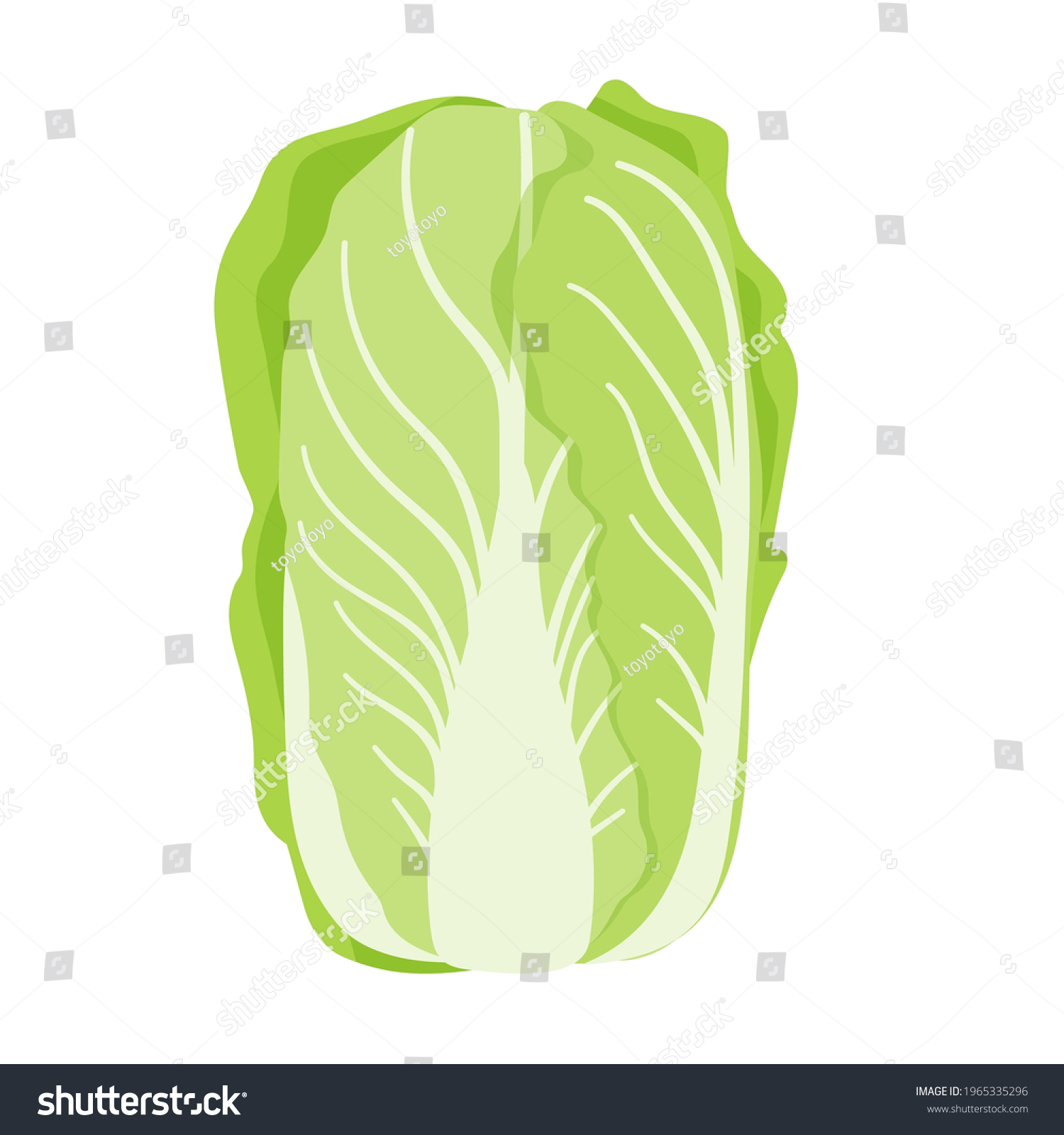 103 439 大白菜图片 库存照片和矢量图 Shutterstock