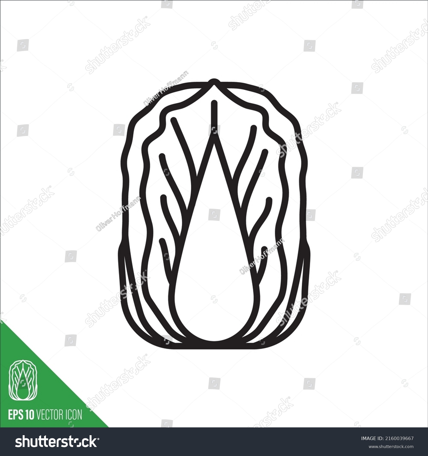 Chinese Napa Cabbage Vegetable Icon Outline Stock Vector (Royalty Free ...