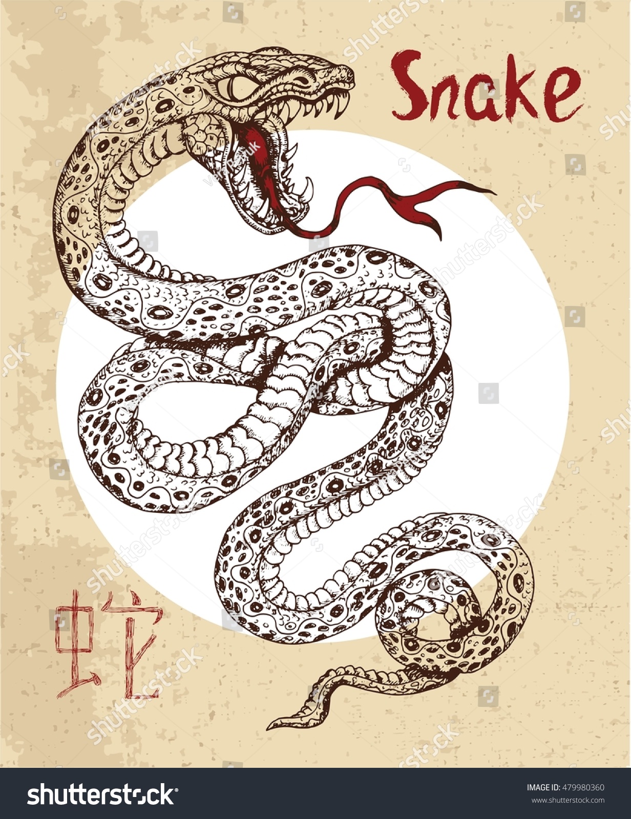 The 1965 Chinese Zodiac Sign The Serene Snake And Its Impact