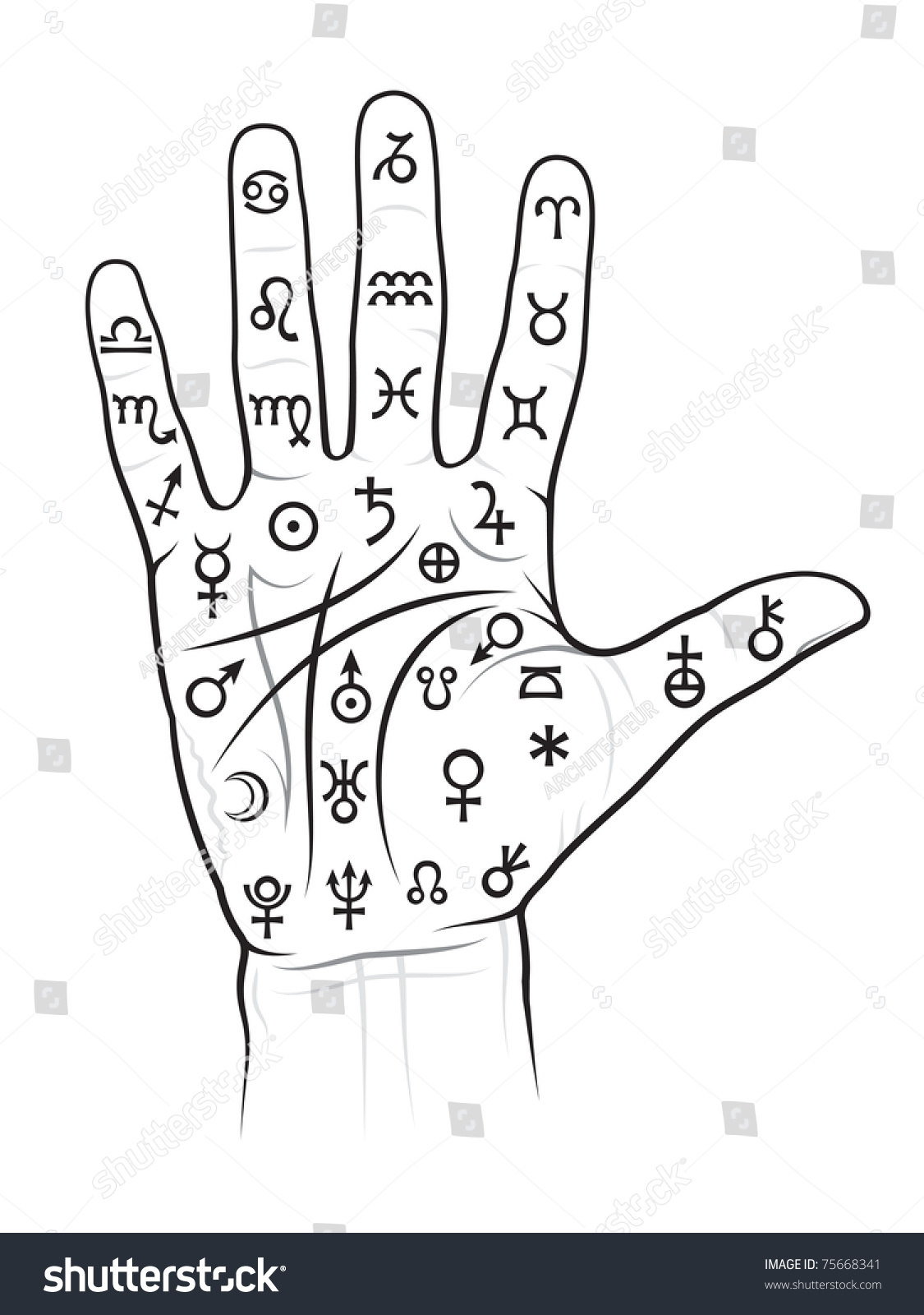 Chiromancy Chart Of A Palm: Lines, Ways, Mounts And Valleys Stock ...