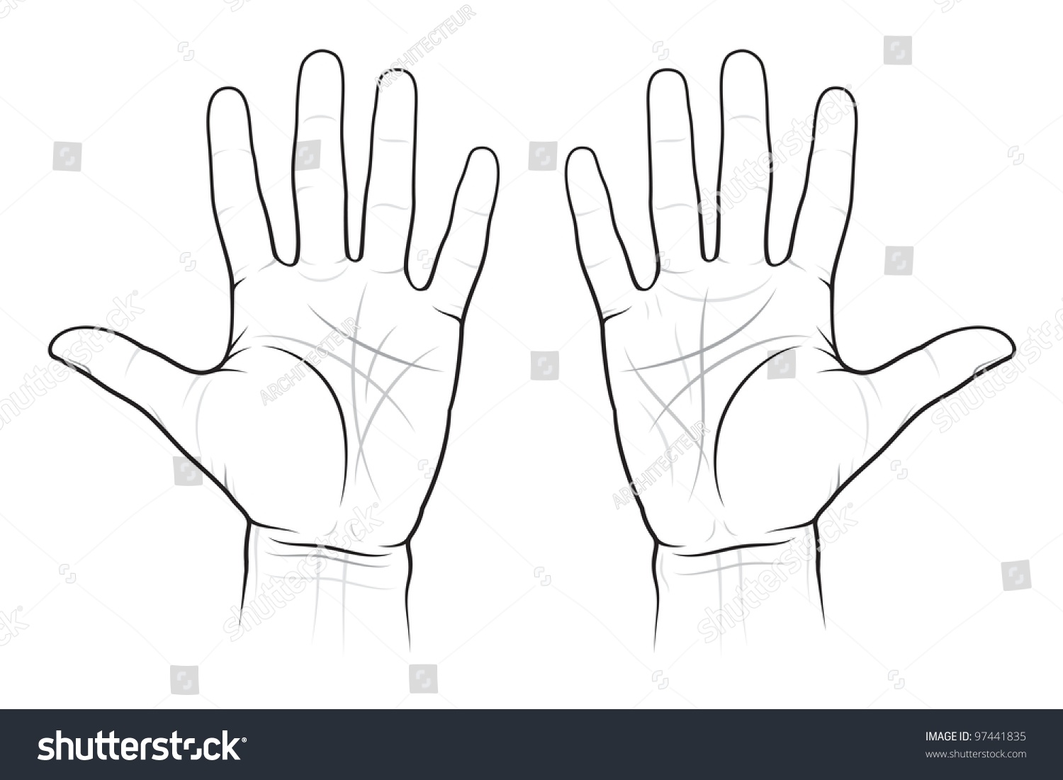 Chiromancy Chart Of The Palms: Lines And Ways, Eps-8 Stock Vector ...