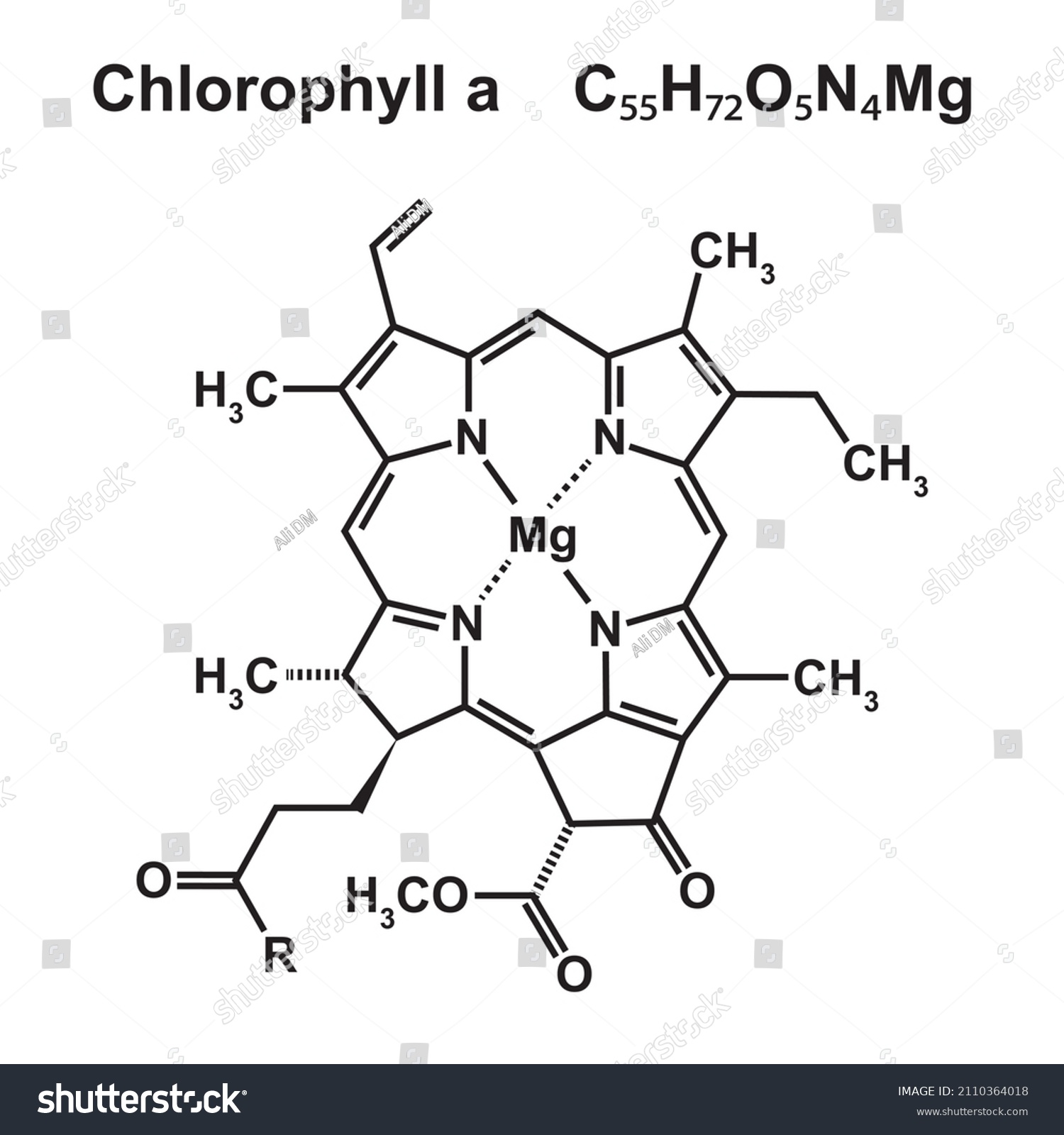 Chlorophyll Chemical Structure Vector Illustration Stock Vector