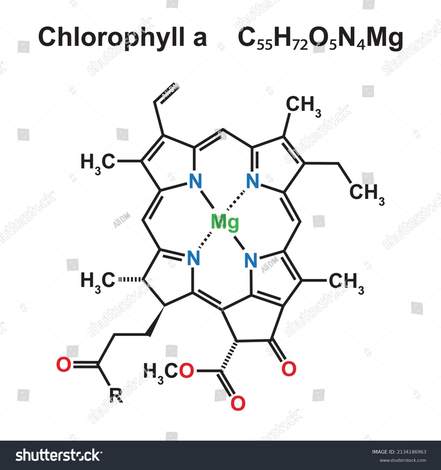 Chlorophyll Chemical Structure Vector Illustration Stock Vector ...