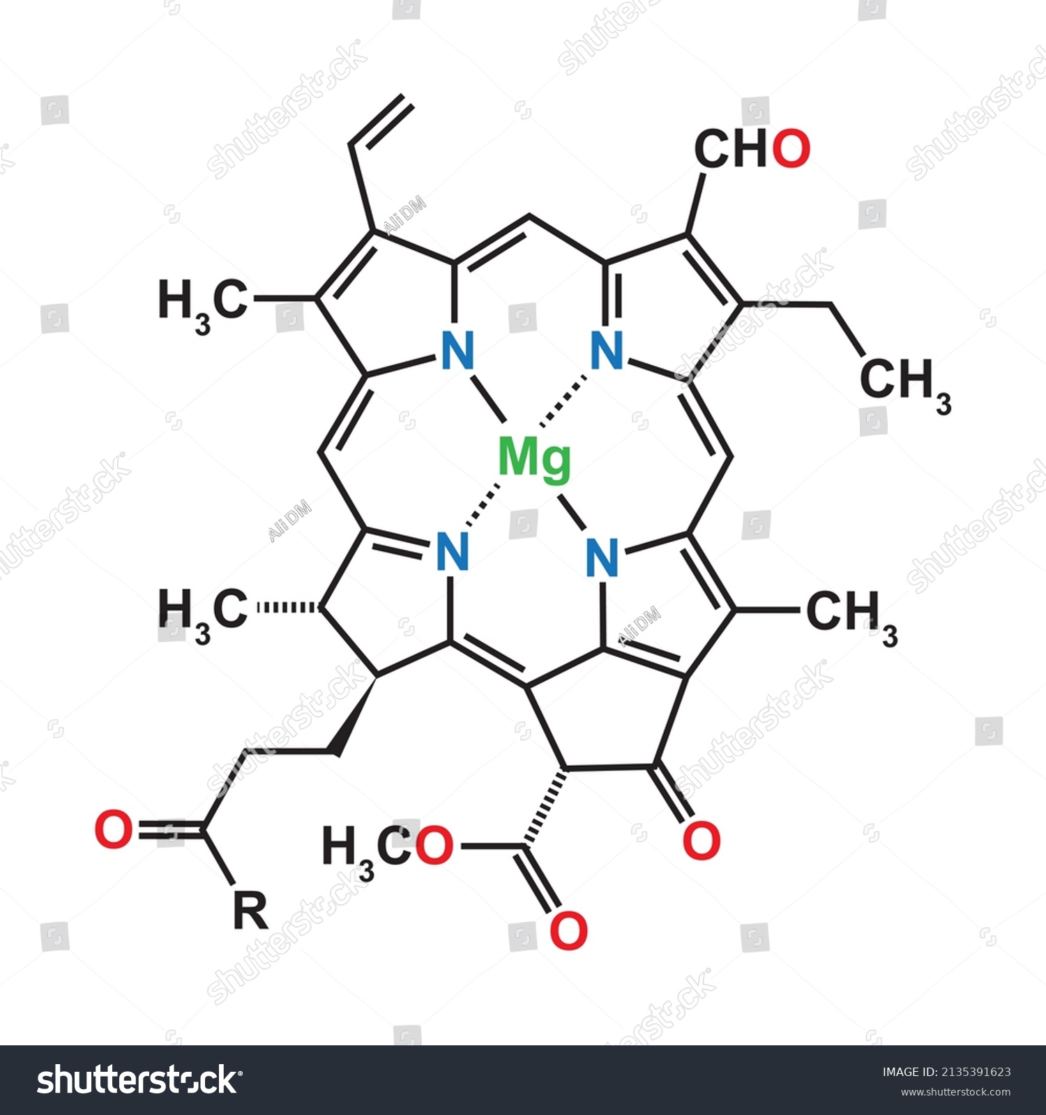 Chlorophyll B Chemical Structure Vector Illustration Stock Vector ...