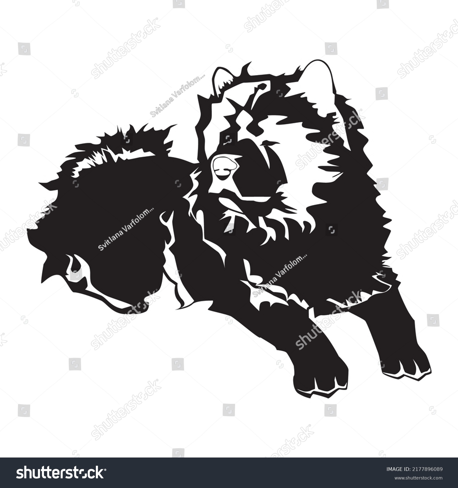 recommend clip art: Chow chow dog black silhouette, vector illustration isolated on white background.