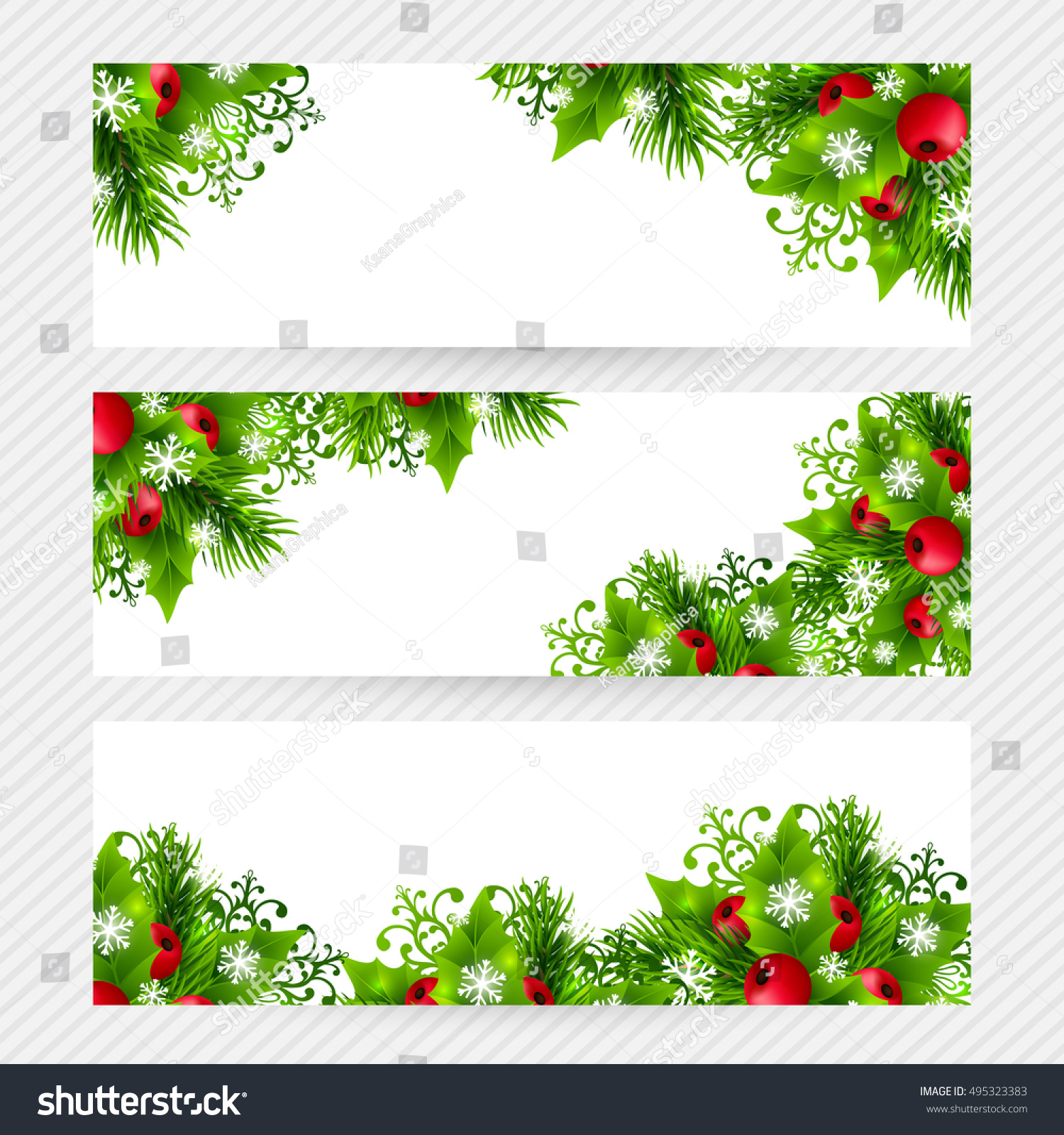 christmas banners fir branches holly leaves stock vector royalty christmas banners