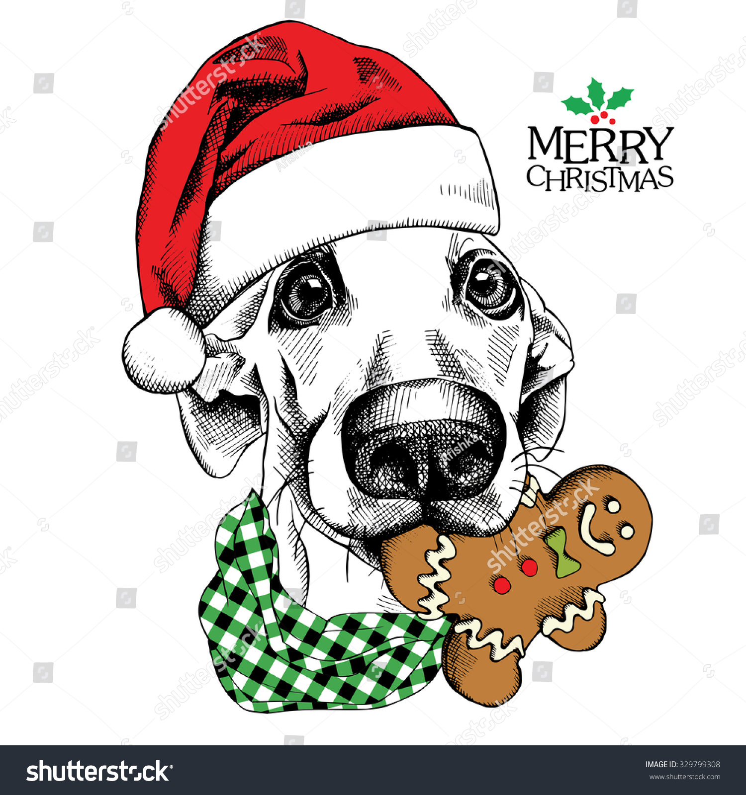 christmas card funny dog portrait in red santas hat and with gingerbread man vector - Funny Dog Christmas Cards christmas card funny dog portrait in red santas hat and with gingerbread man vector - Funny Dog Christmas Cards