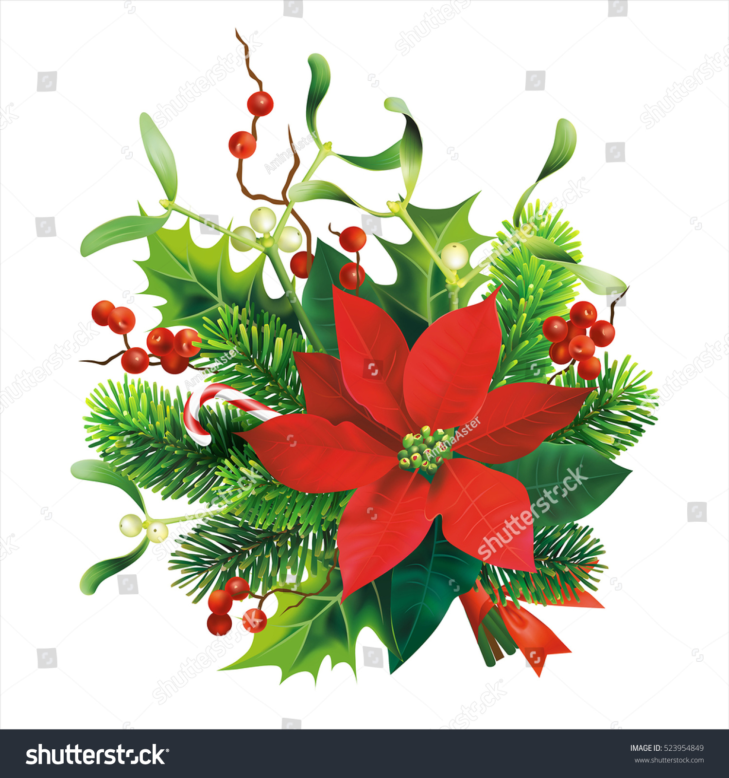 クリスマスの飾り付けには モミ ヤドリギ ヒラギの枝 ポインセチアの花がついています 白い背景に ベクターイラスト のベクター画像素材 ロイヤリティフリー 523954849