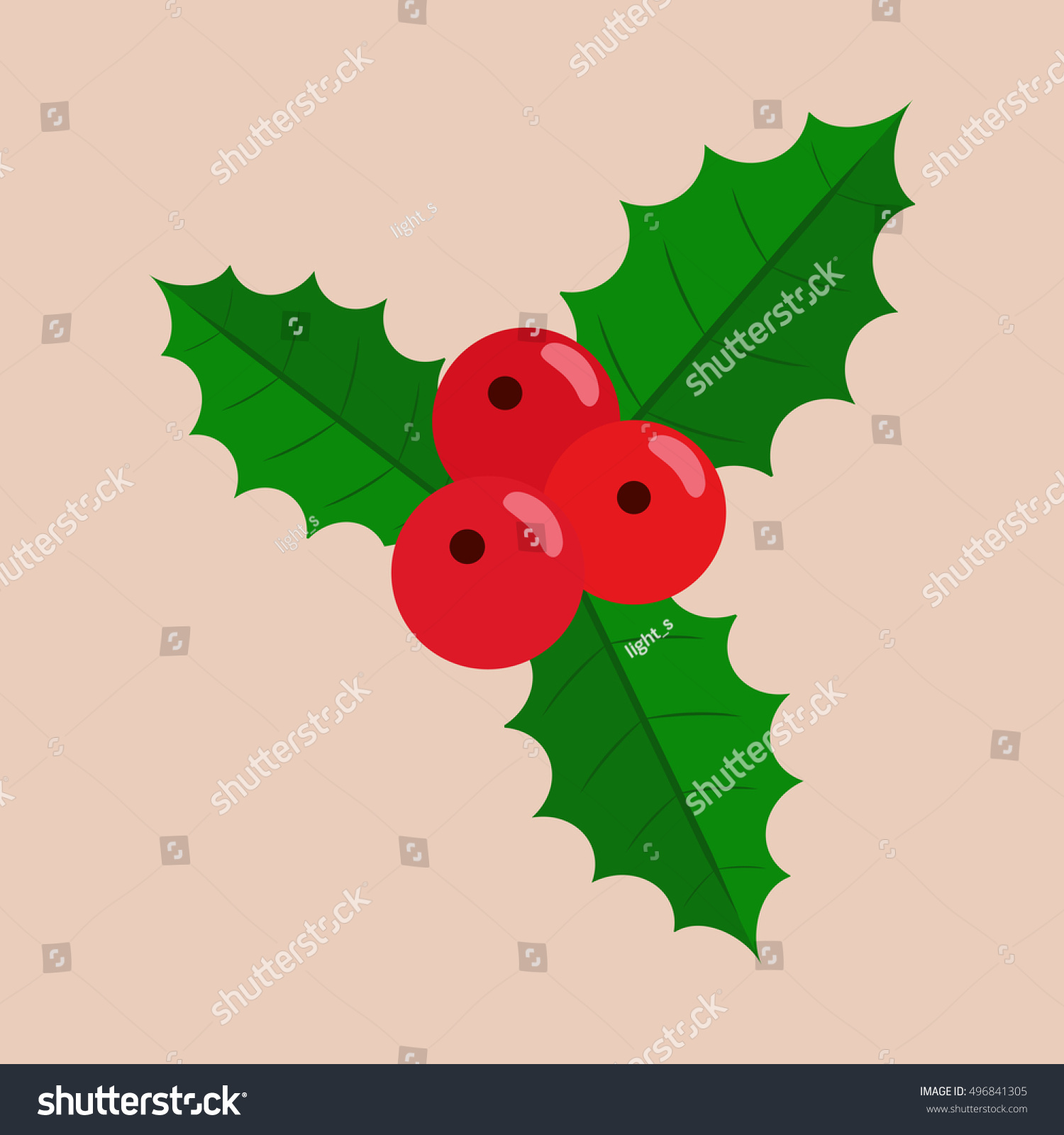 The three main Christmas symbols are mistletoe, holly and striped mint cane-shaped candy The three main Christmas symbols are mistletoe, holly and striped mint cane-shaped candy