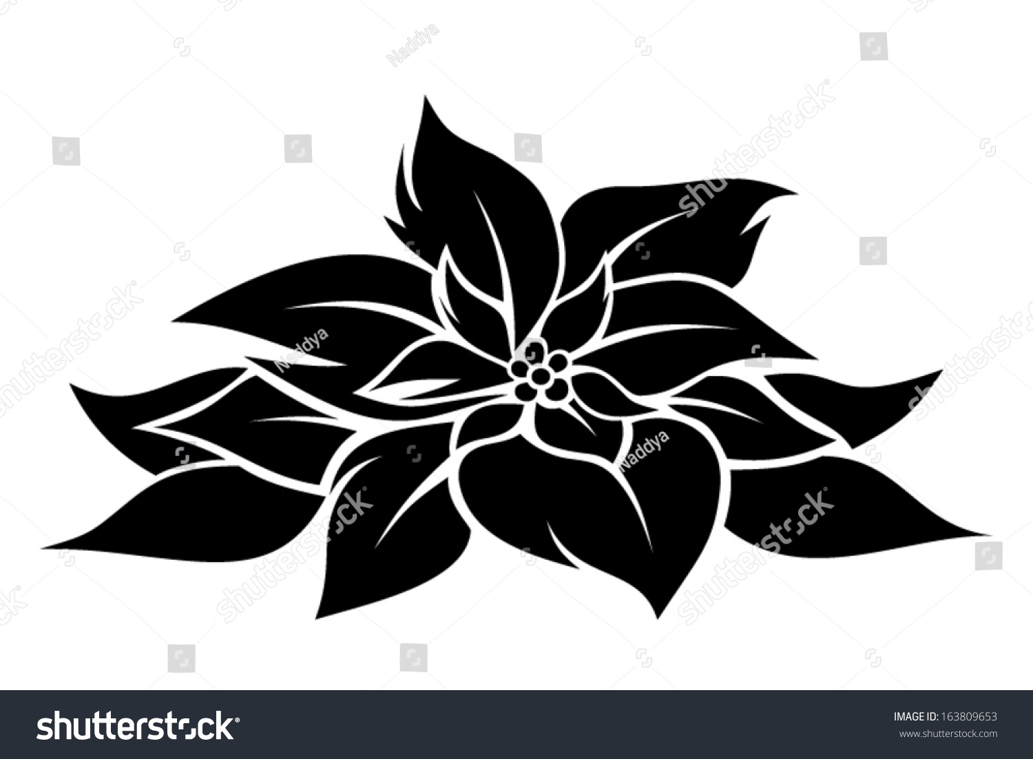 Christmas Poinsettia. Vector Black Silhouette. - 163809653 : Shutterstock