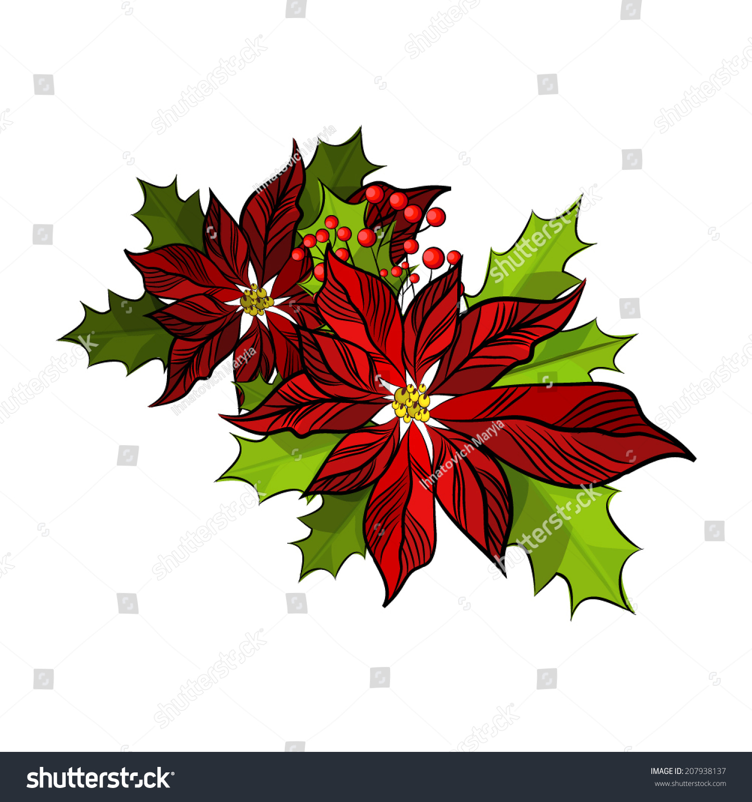 Christmas Star Flower. Vector - 207938137 : Shutterstock