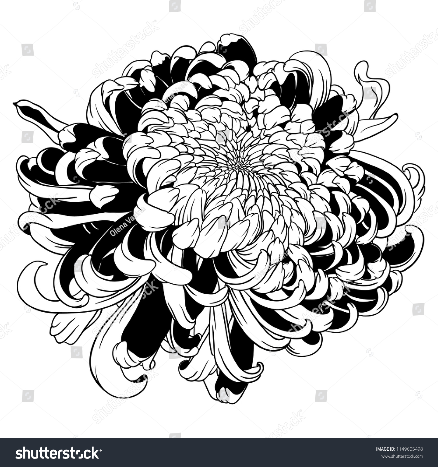 Chrysanthemum Line Drawing Vector Stock Vector (Royalty Free